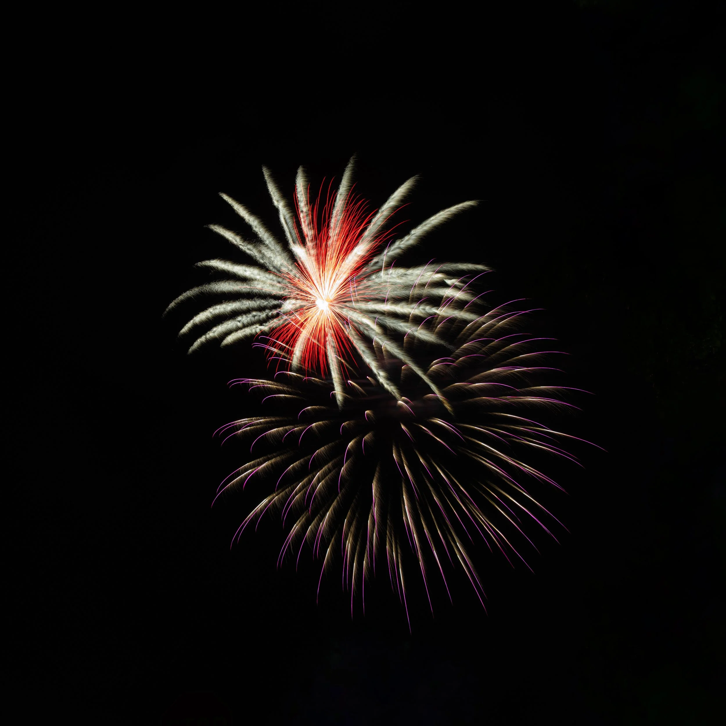 _6M23641.jpg