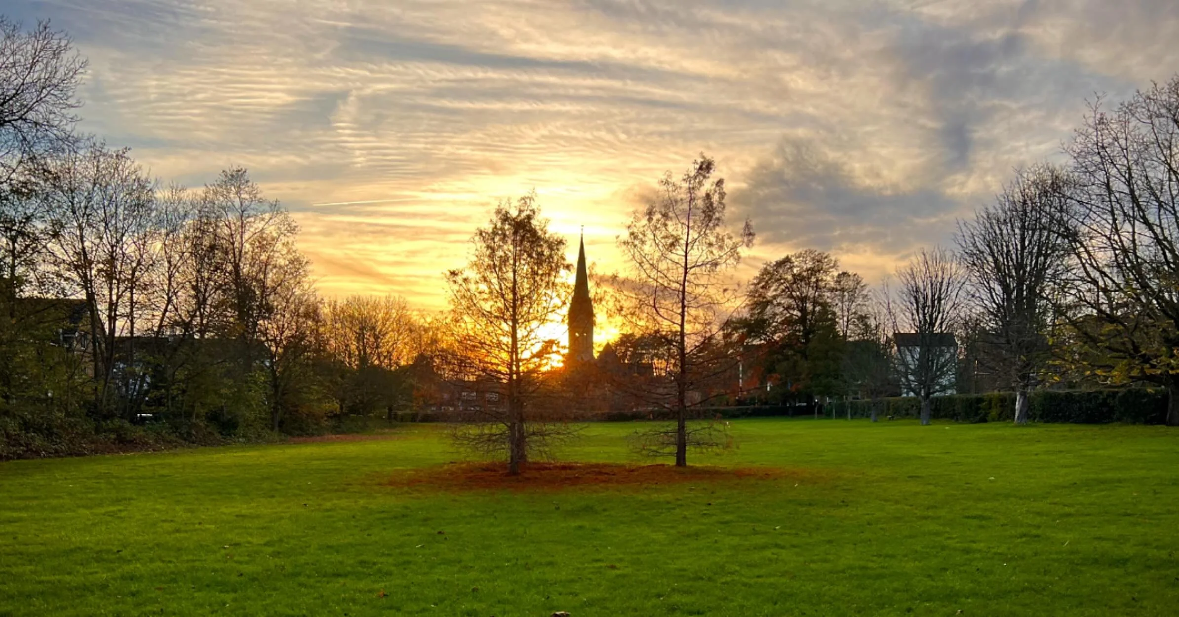 🌟

Admiring God&rsquo;s painting - at Fish Pond Park/4.00pm.

#londonparks