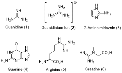 Guanidine alkaloids from marine sponges