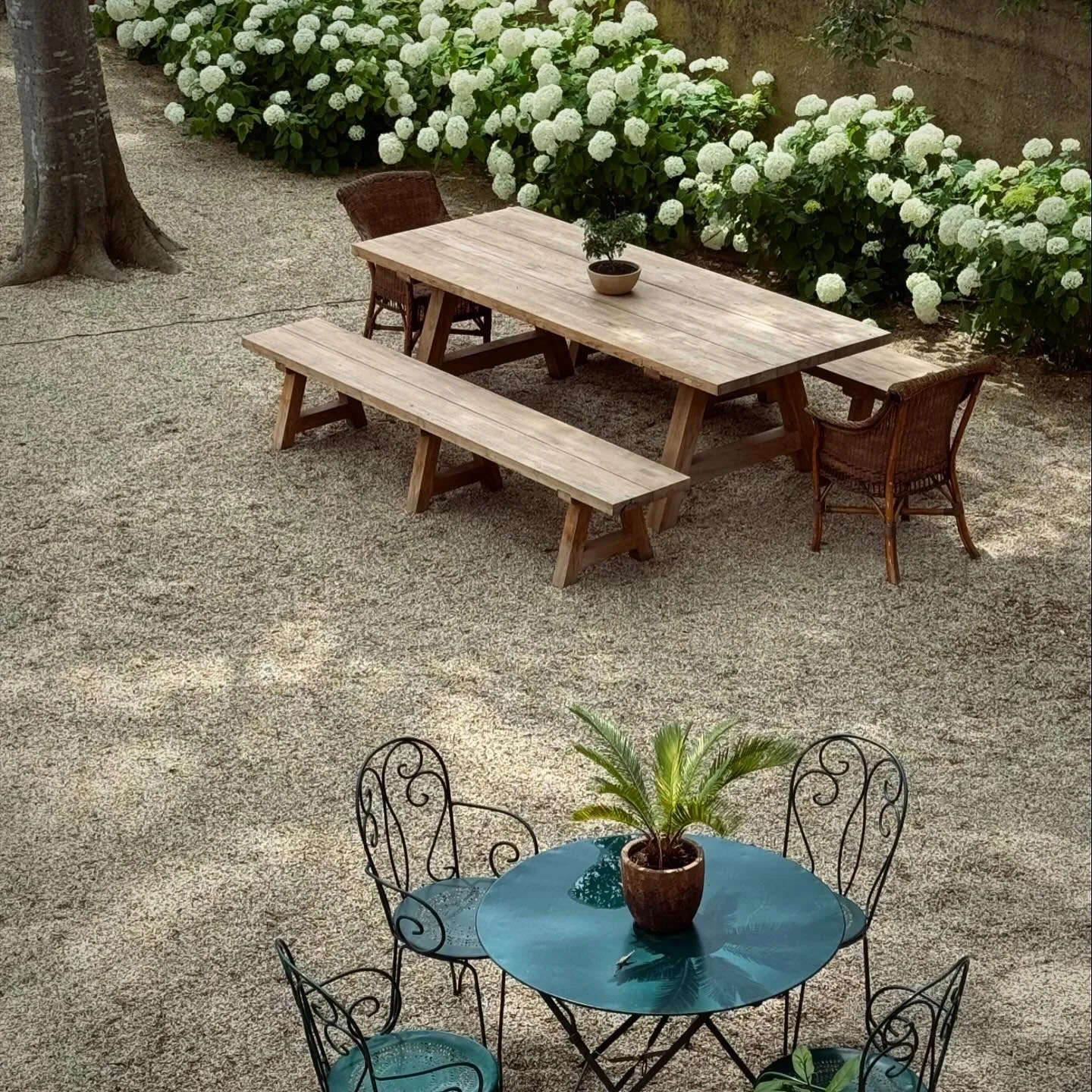 Un mobilier de jardin comprenant une table ronde en métal noire, entourée de six chaises en métal avec un dessin ornemental, avec un pot de plante verte sur la table. Au fond, il y a une longue table en bois avec un banc et une chaise en rotin, avec 