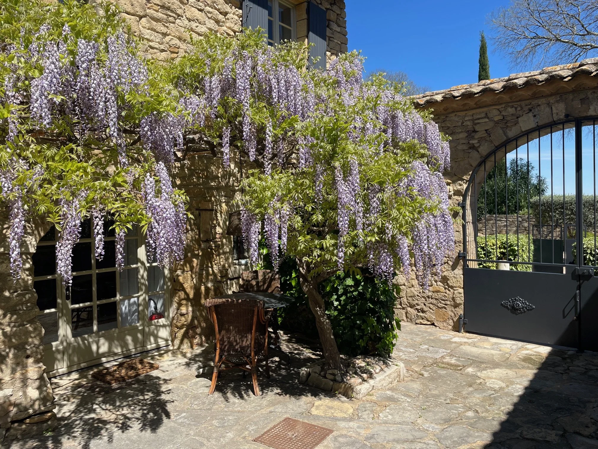 Une maison en pierre avec des volets gris, une porte grise,  une chaise en rotin, une végétation luxuriante de type glycine avec des fleurs violettes en cascade, un portail en fer gris, un ciel bleu clair.