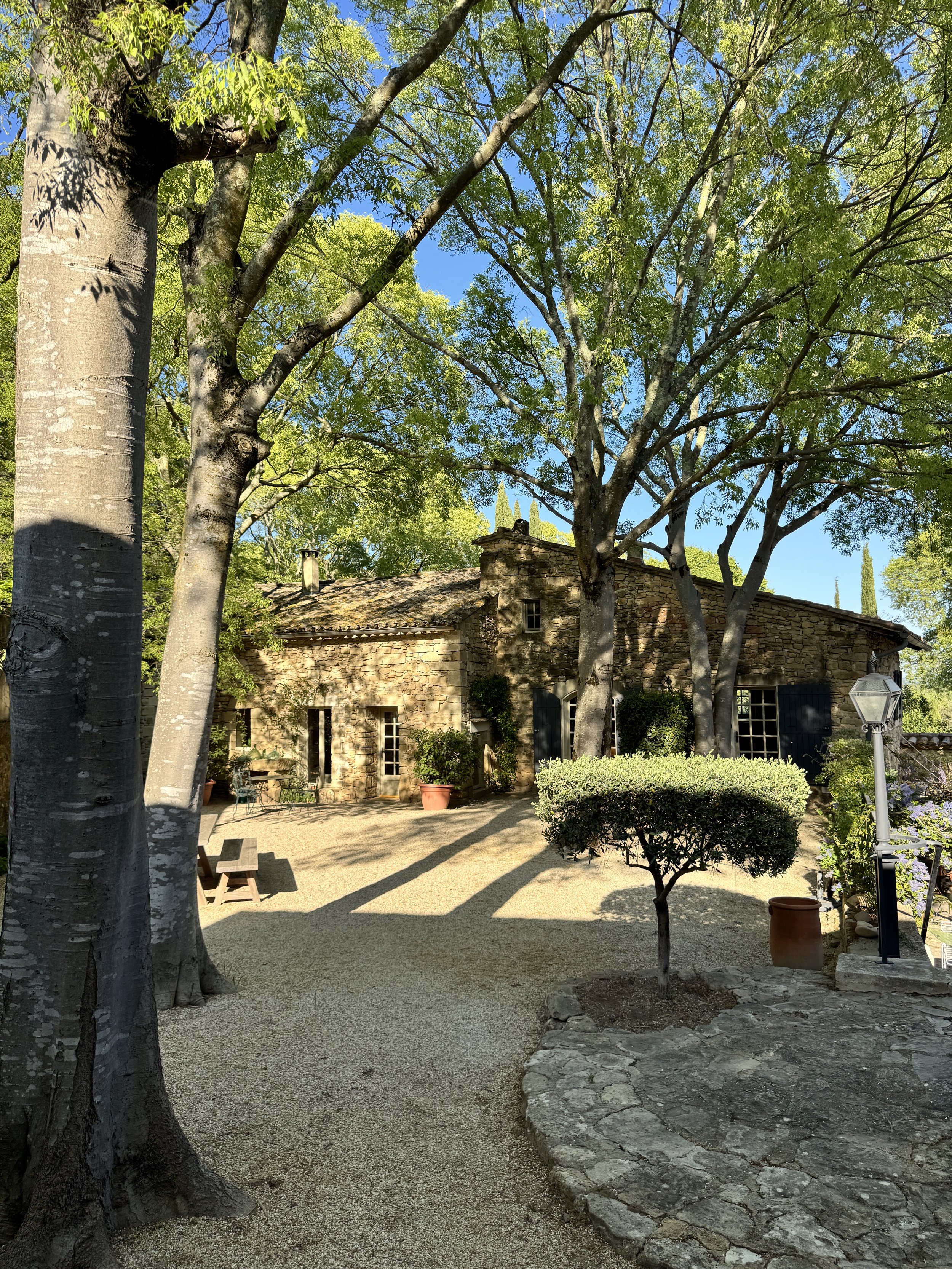 Une grande terrasse extérieure avec des arbres, un petit bâtiment en pierre avec une cheminée, des plantes en pot, un lampadaire, et recouverte de gravier.