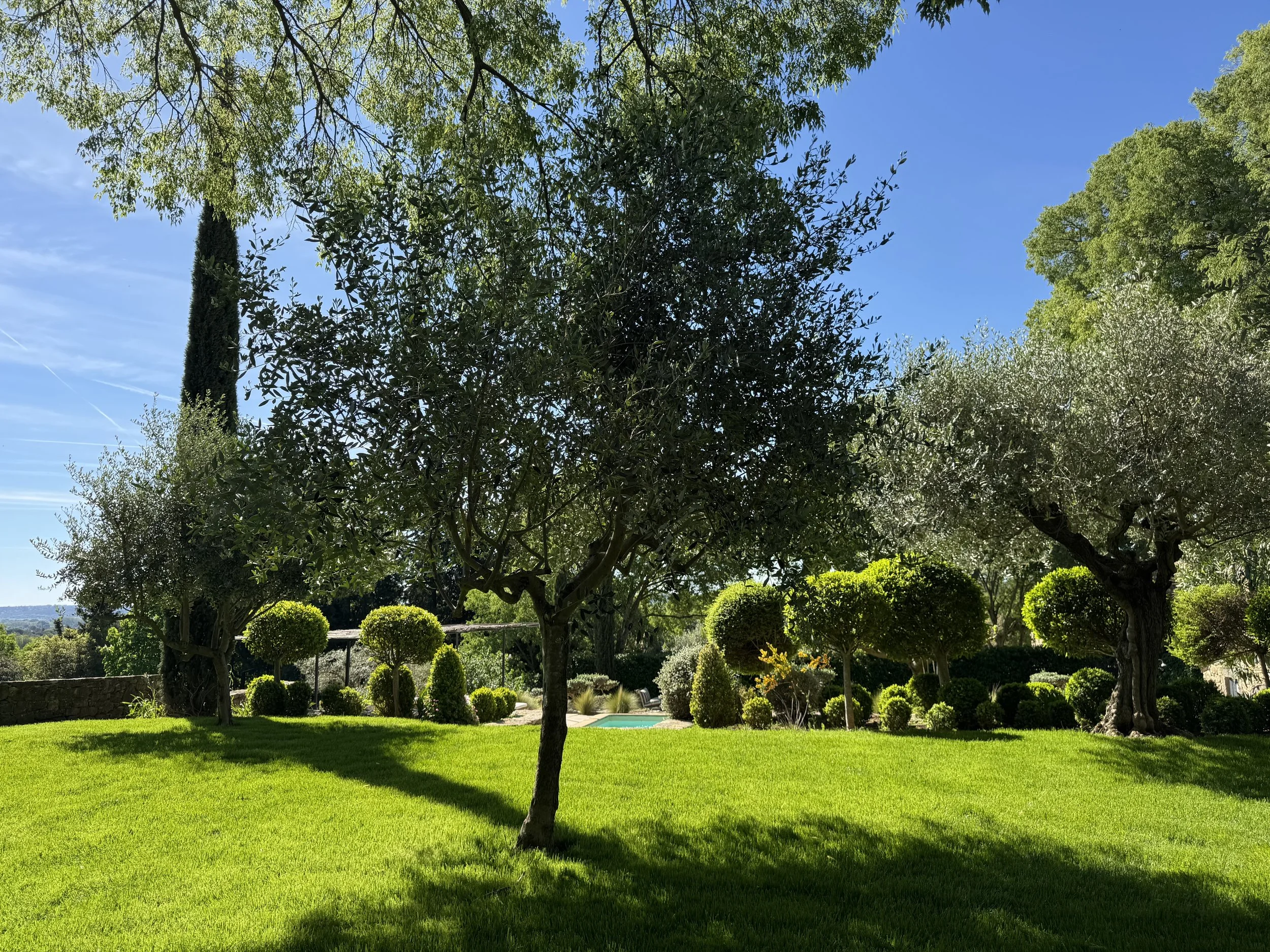 Jardin bien entretenu avec de nombreux arbres, arbustes et une pelouse verte, sous un ciel bleu ensoleillé.