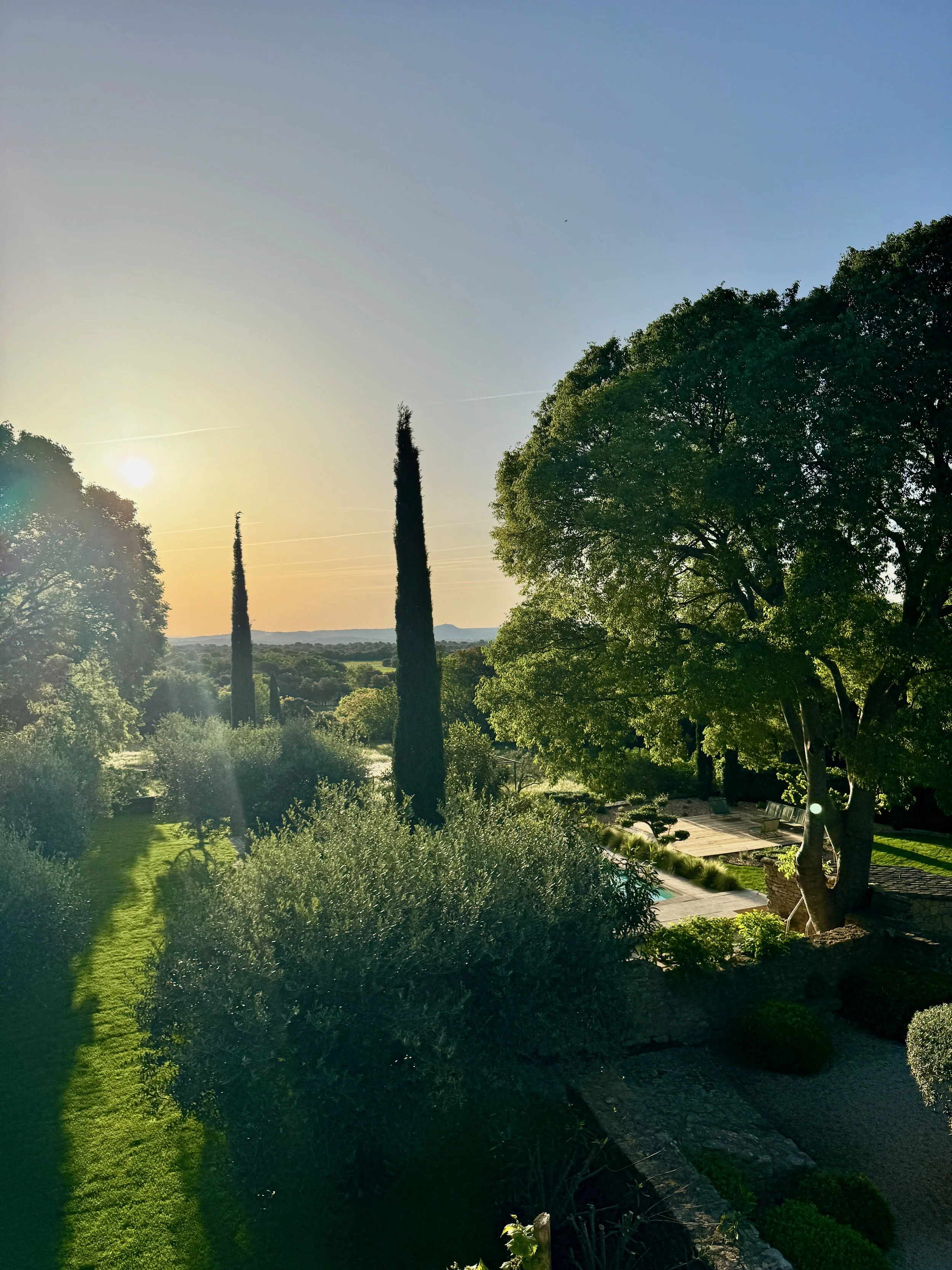 Une vue d'un jardin luxuriant avec des arbres verts, un sol en herbe et des chemins pavés, sous un ciel clair de fin de journée avec un coucher de soleil qui brille.