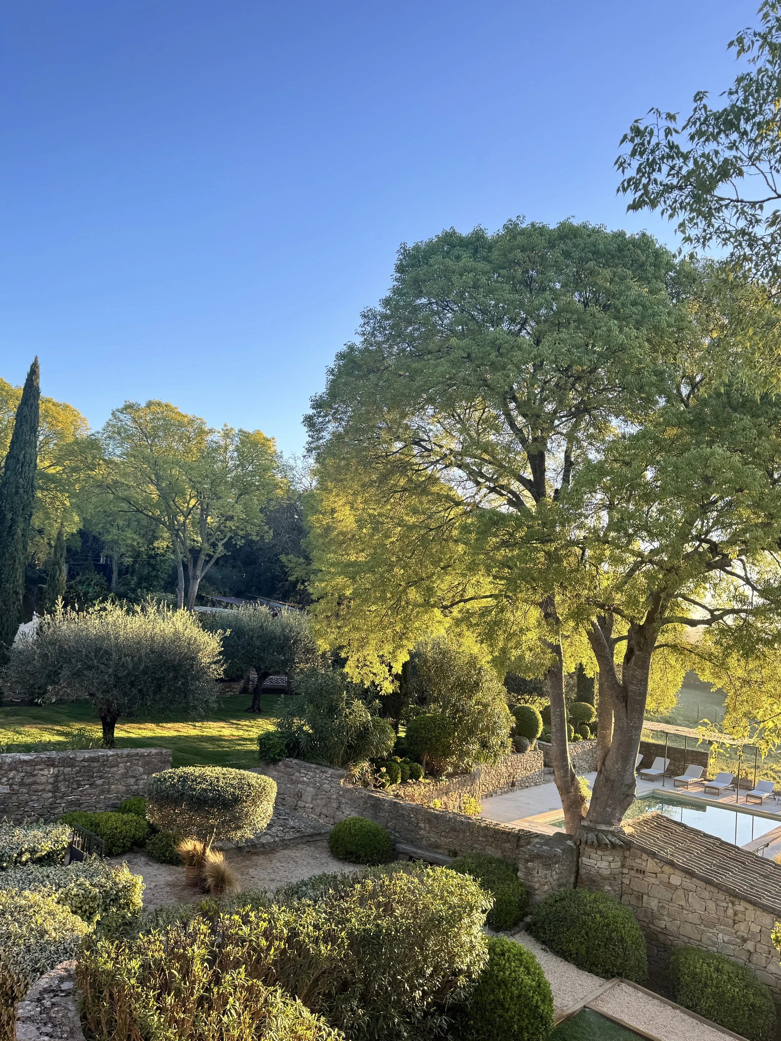Un jardin avec de nombreux arbres verts, un espace avec des chaises longues, une piscine et des plantes décoratives, ensoleillé avec un ciel bleu clair.