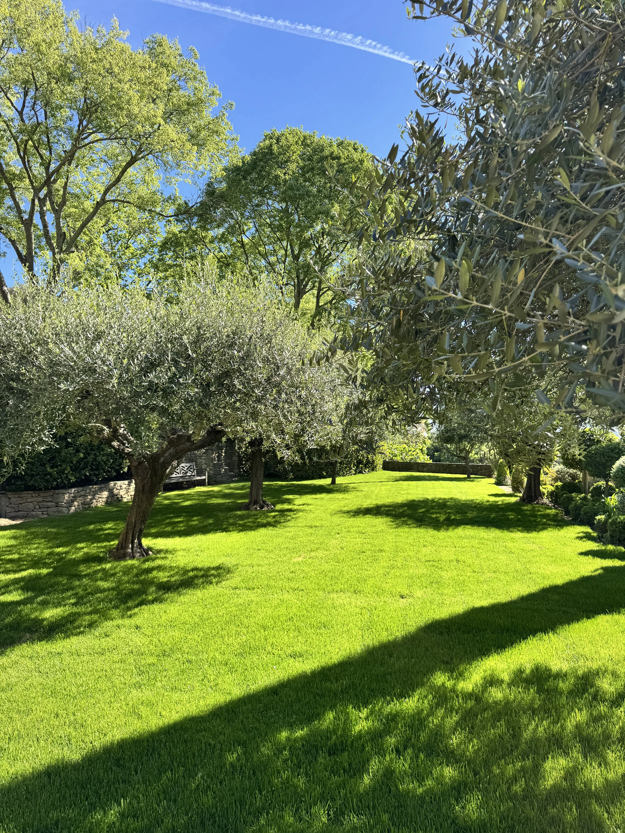 Un jardin bien entretenu avec des arbres ensoleillés, une pelouse verte et des ombres prolongées sur le sol, sous un ciel bleu clair avec quelques nuages.