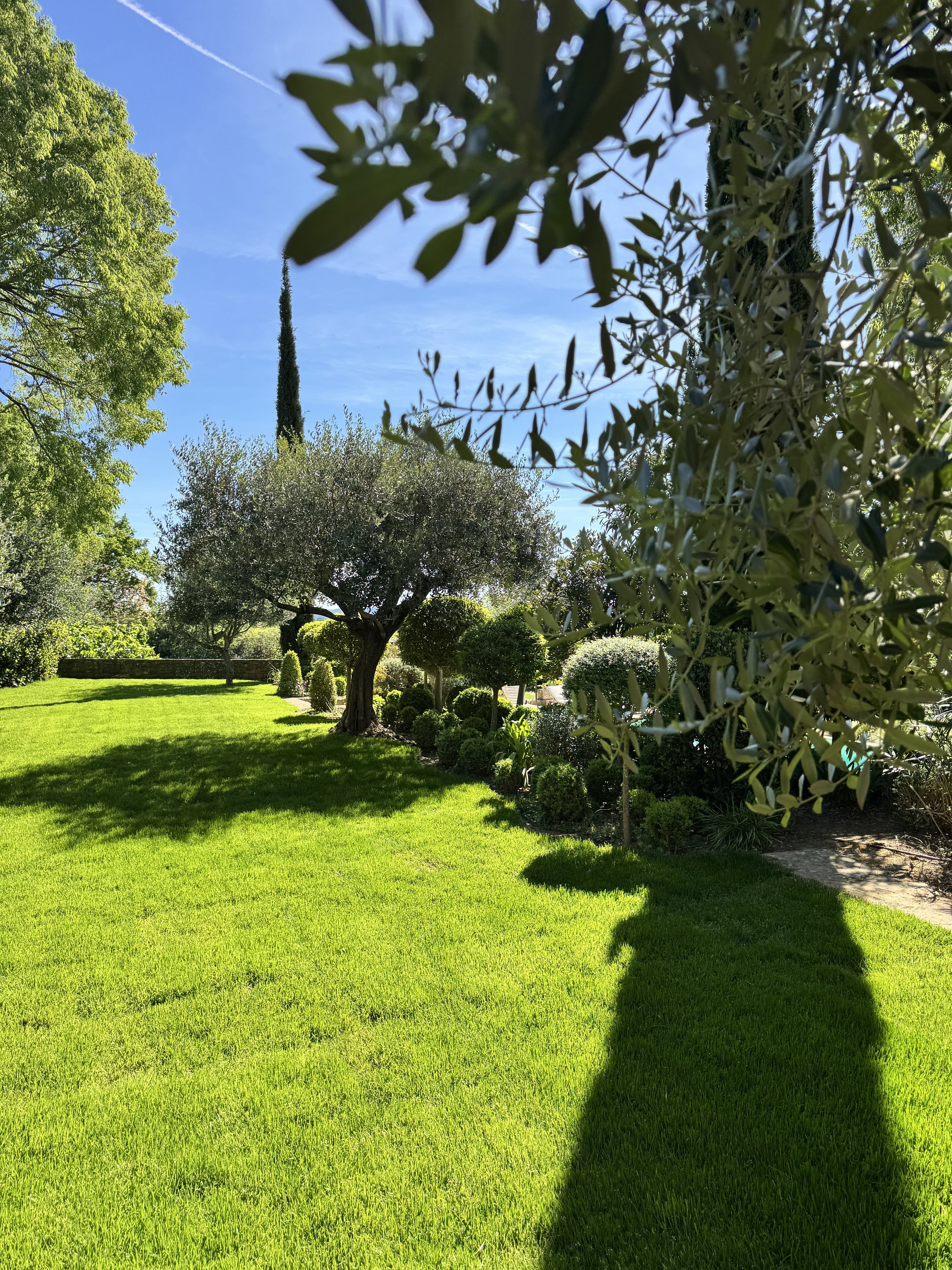 Jardin ensoleillé avec arbres, arbustes taillés, pelouse verte et ciel bleu.