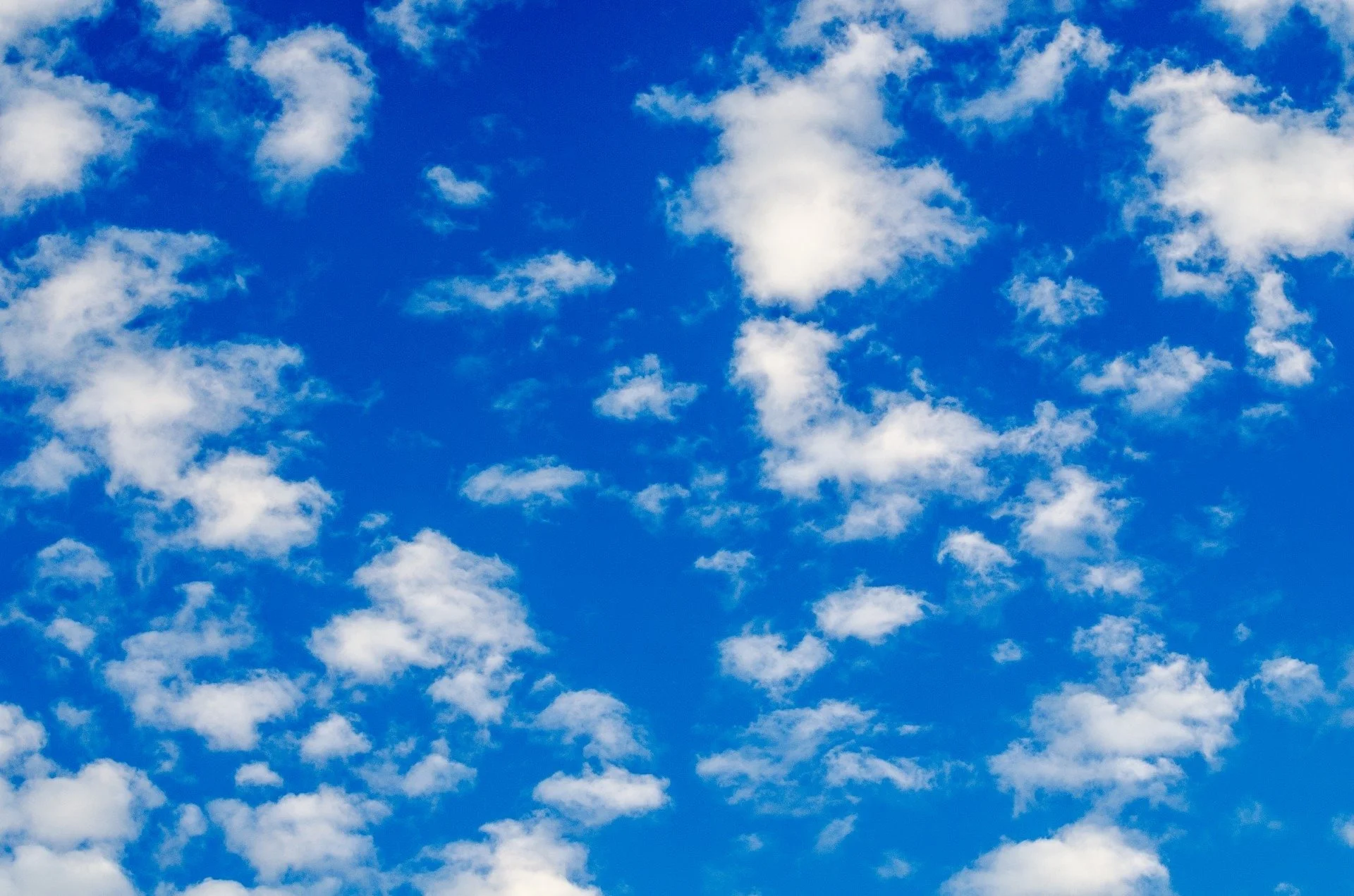 Blue Sky with trees
