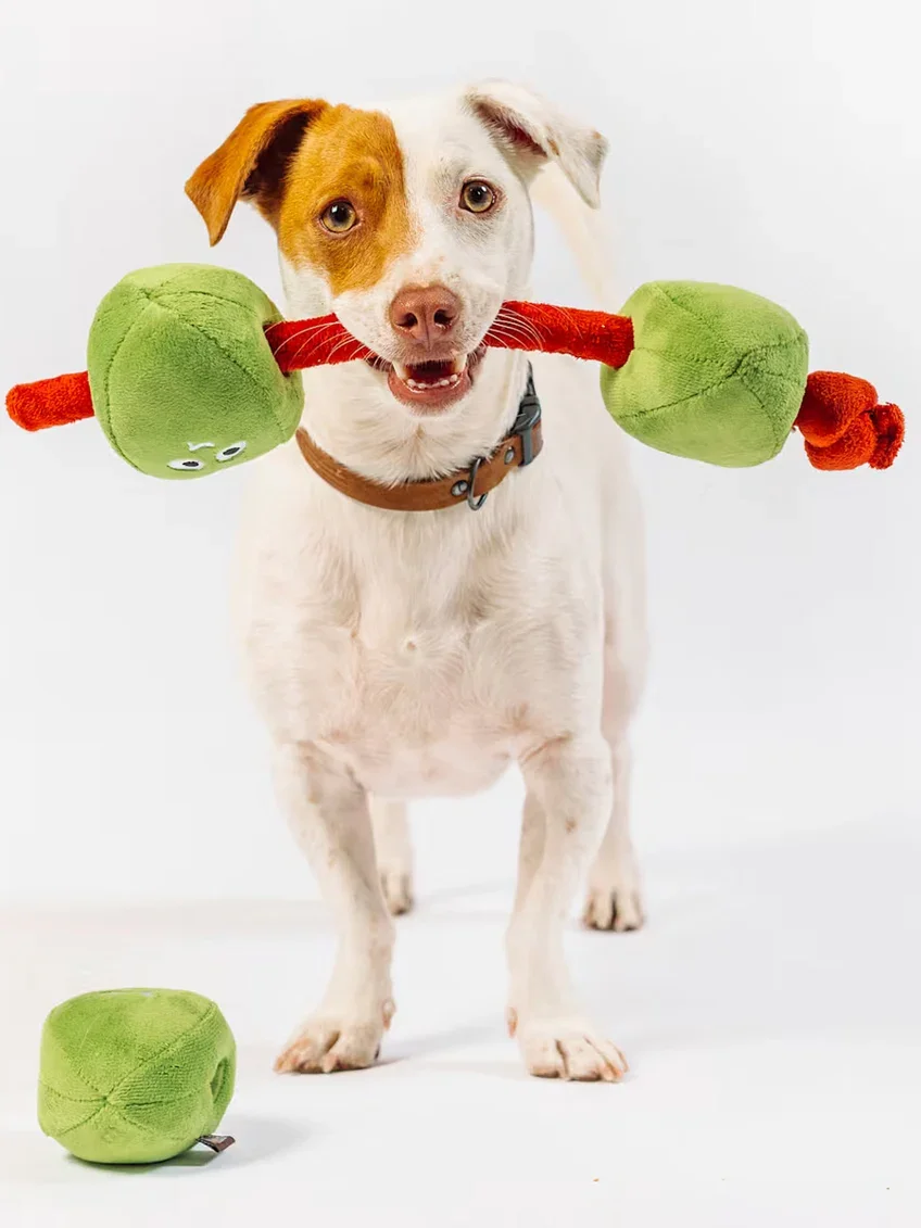 Pet-play-jouet-peluche-chien-Wine-Bar-olives-3.webp