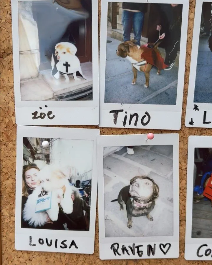 🎃🐾 Halloween Pawty 2025 at Le Bone Appart! 🐾🎃
What a spooktacular time we had this past Sunday! 

Thank you to everyone who joined us, dressed up, and brought the Halloween spirit to life. 💛 Your creativity (and your dogs&rsquo; patience!) made 