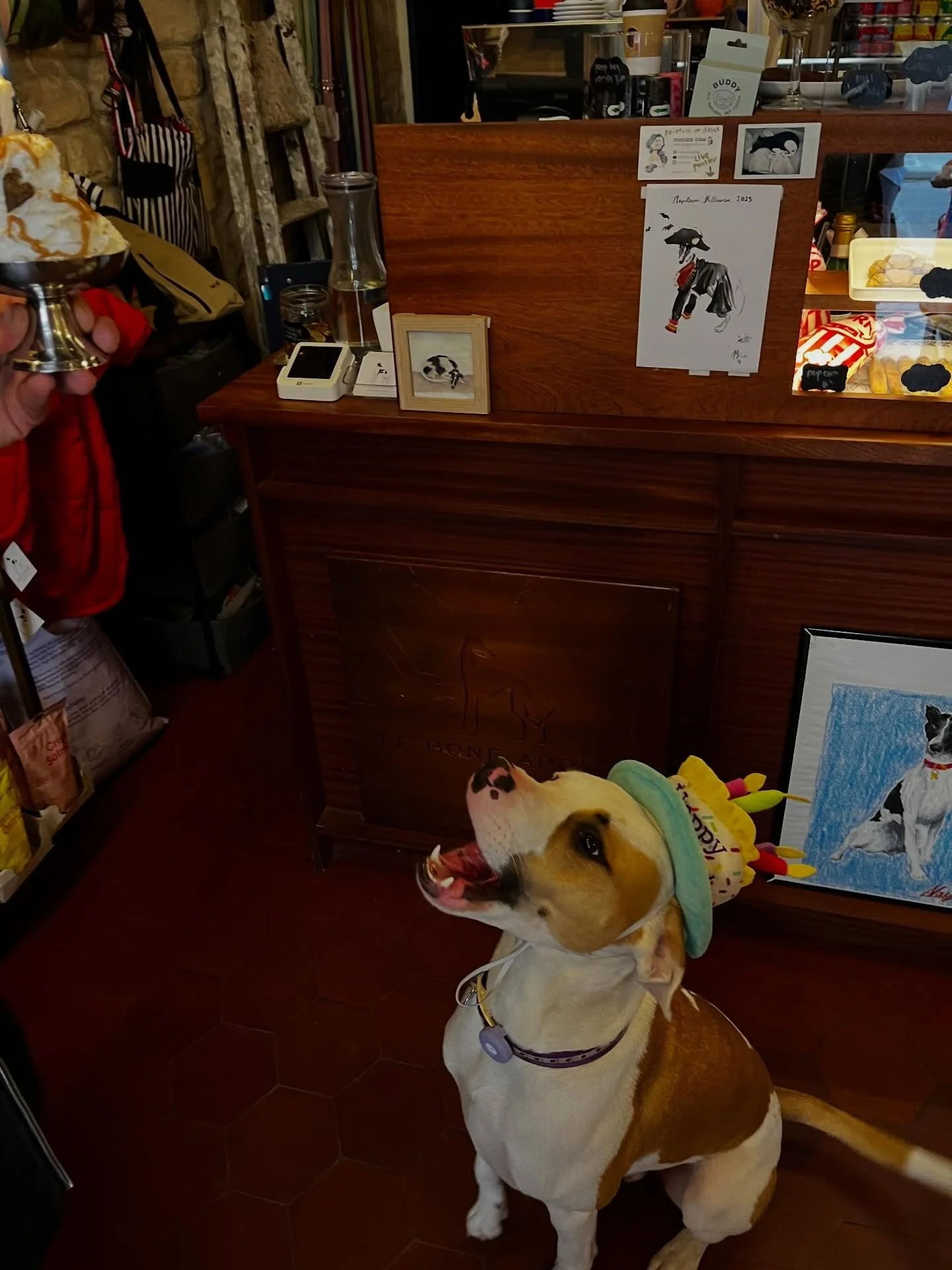 A happy birthday boy 🥰

#leboneappart #dogcafe #paris #birthday #dogsofinstagram