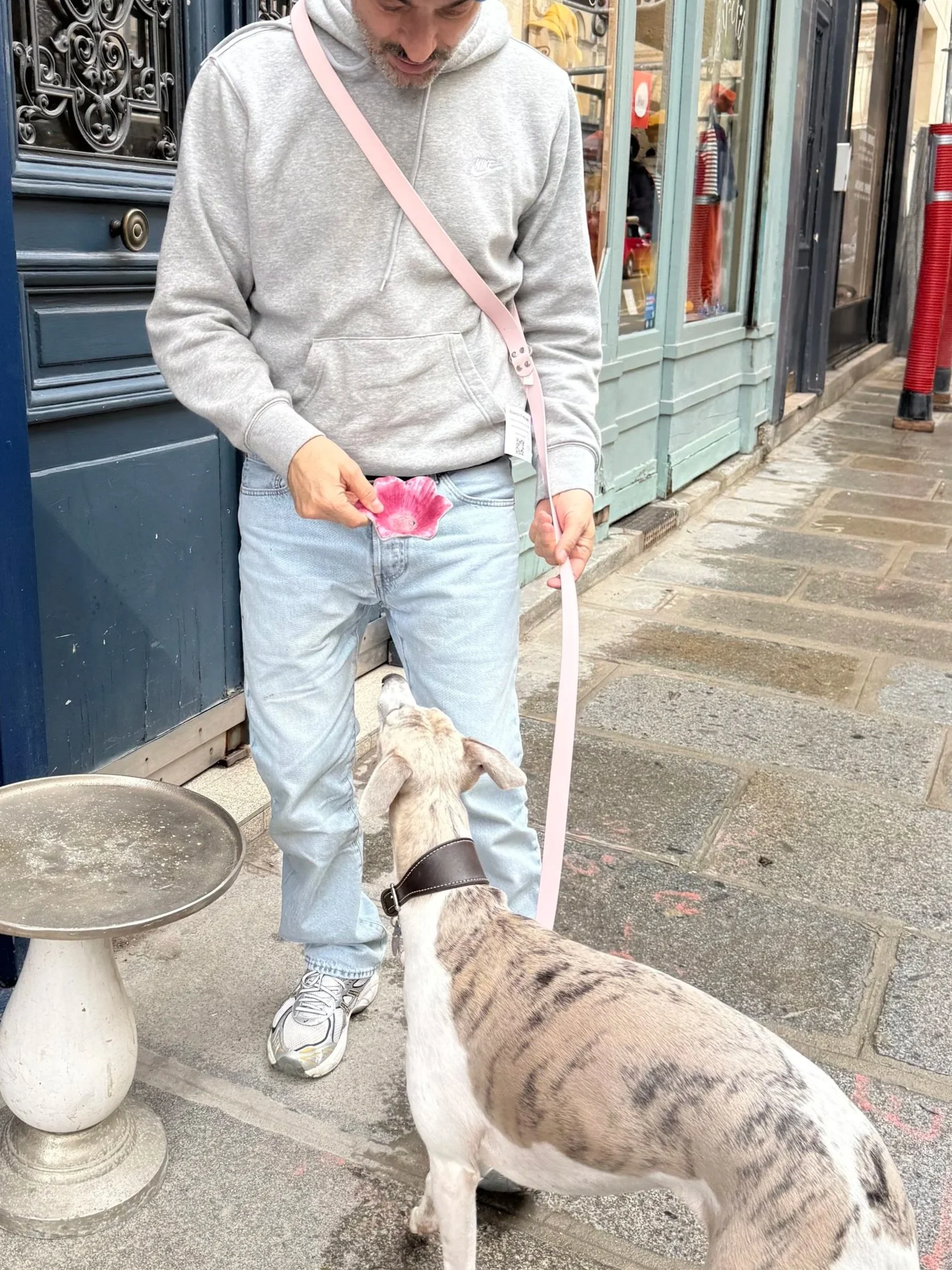 Le Bone Appart Thick Hands-free Leash