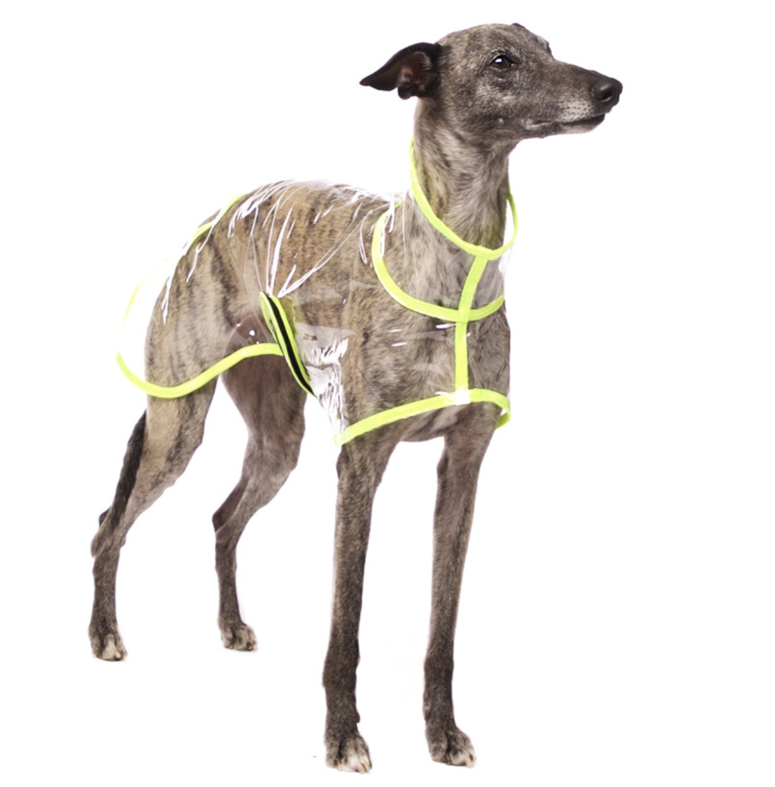 Transparent Raincoat