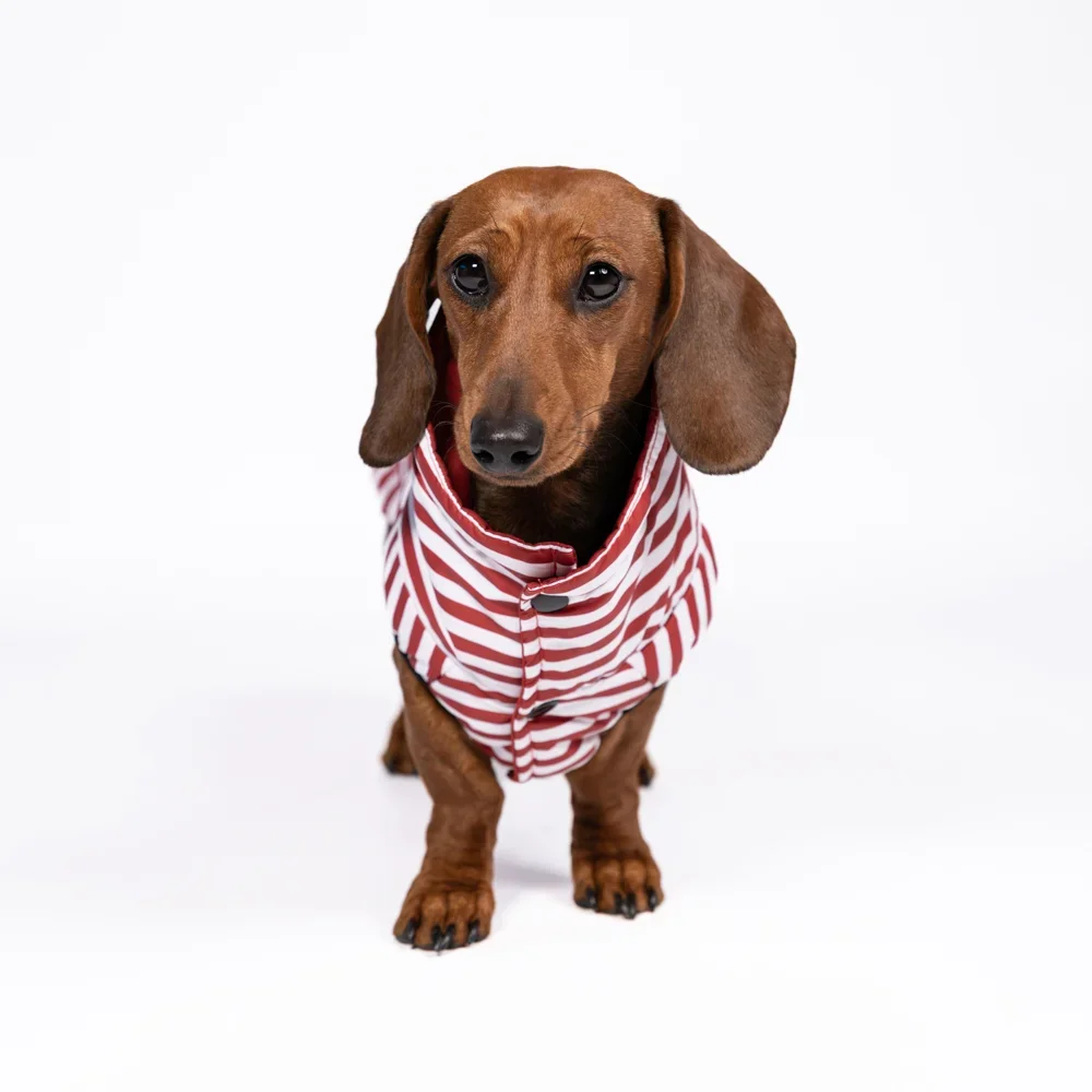 Waterproof Jacket “La Parisienne” S