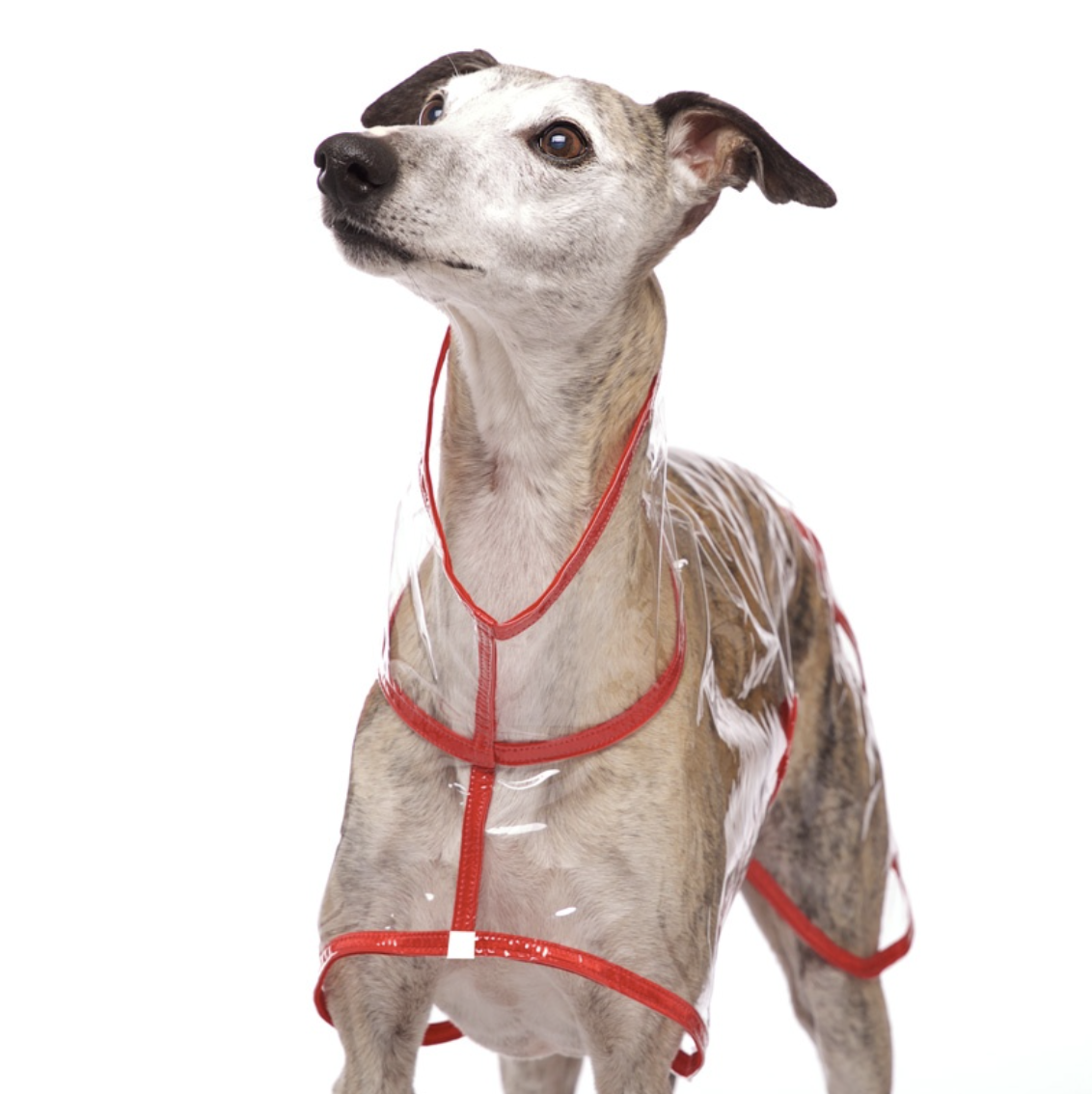 Screenshot 2026-03-09 at 14.06.54.png