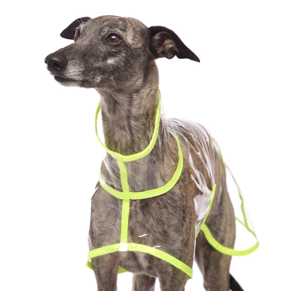 Screenshot 2026-03-09 at 14.06.23.png