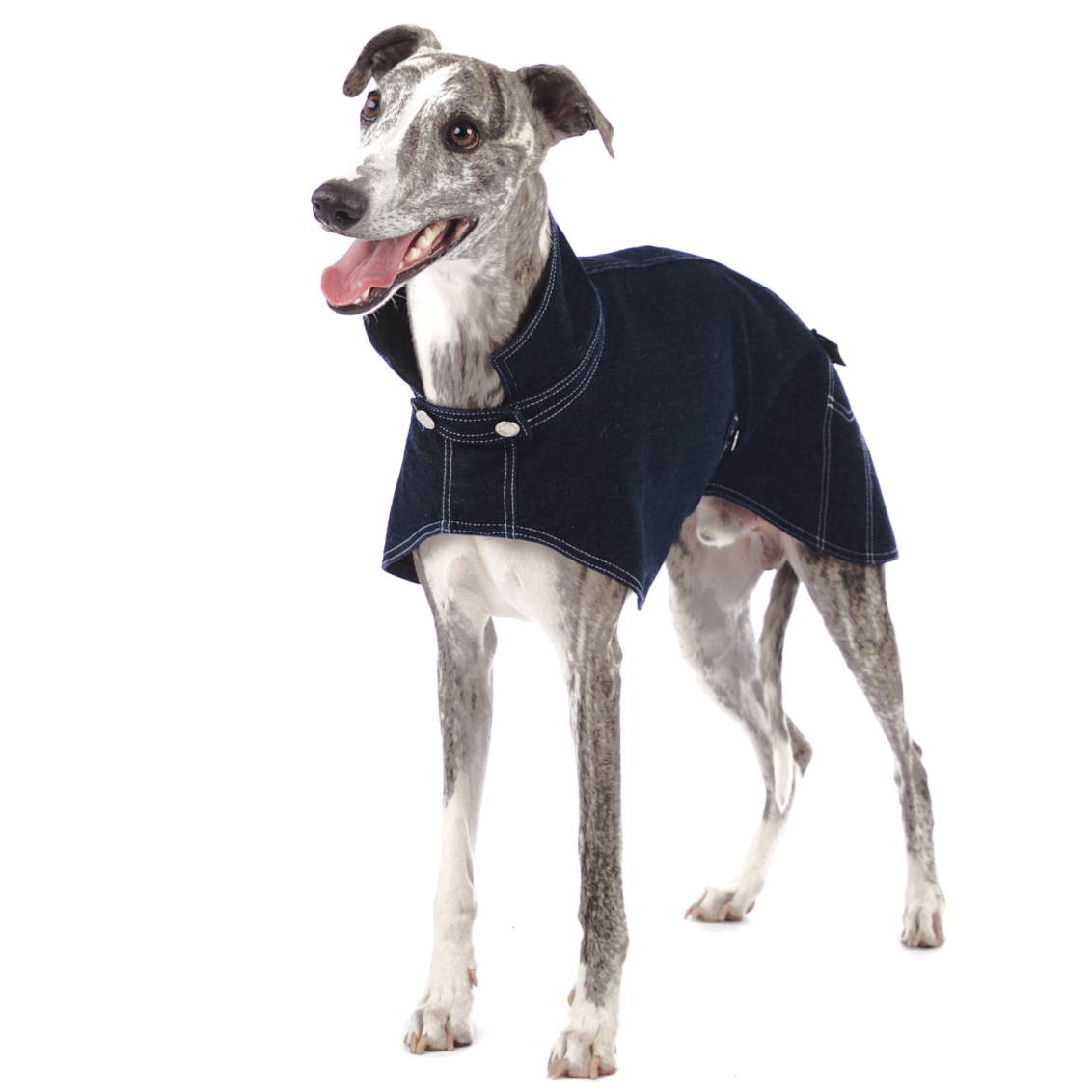 Screenshot 2026-03-06 at 15.16.03.png