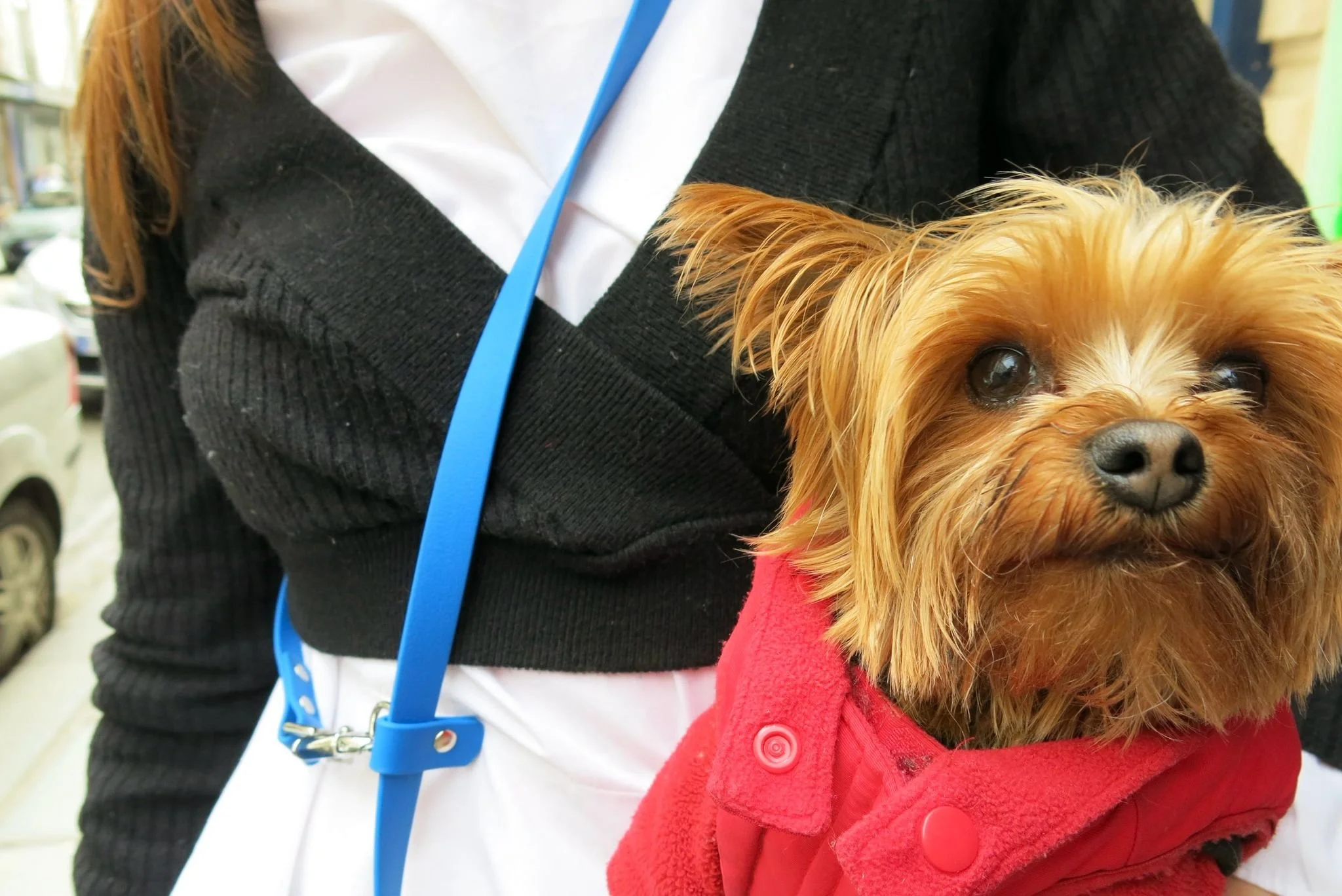 WhatsApp Image 2026-02-12 at 13.03.42.jpeg