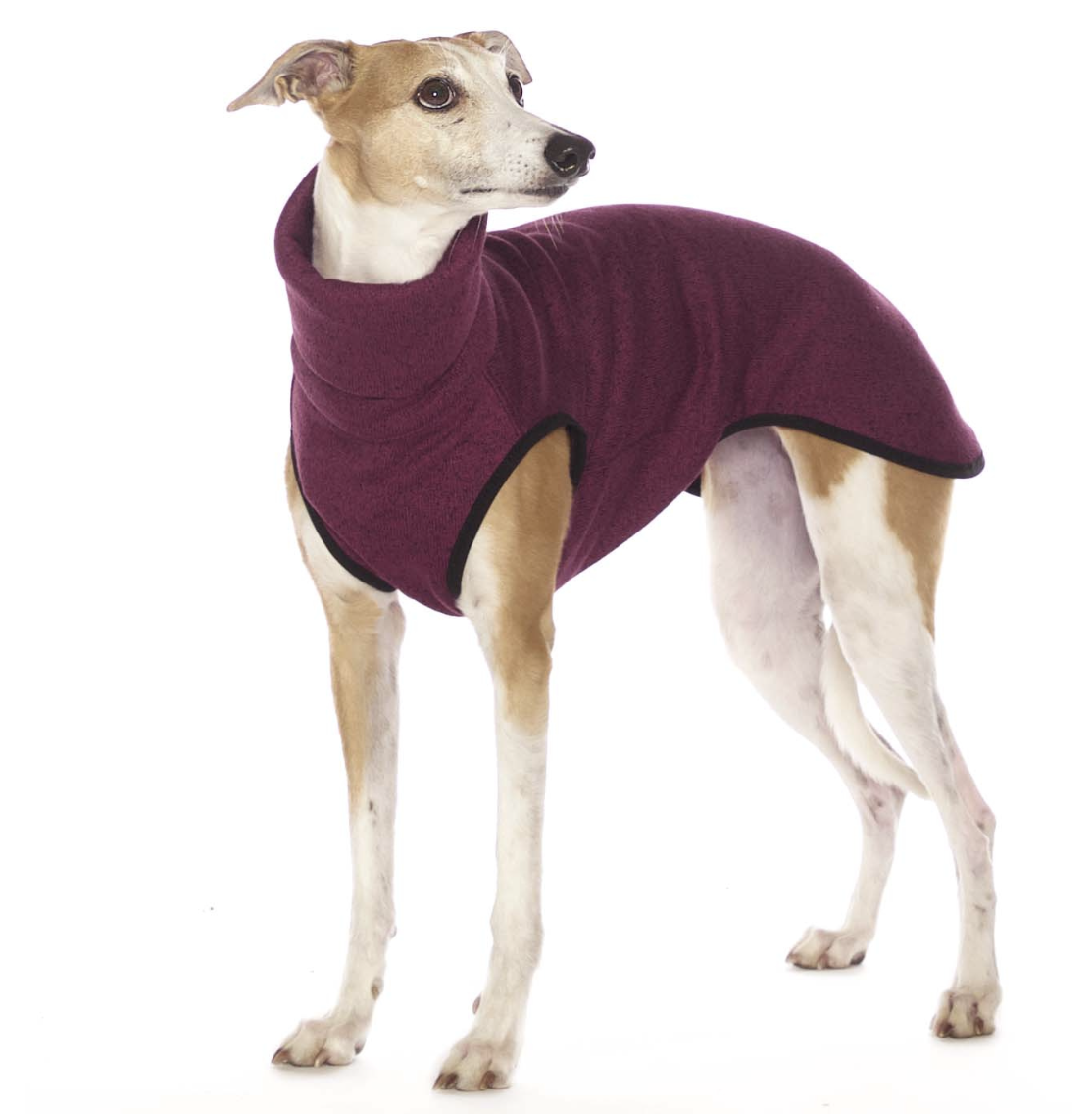 Screenshot 2026-03-06 at 14.58.32.png