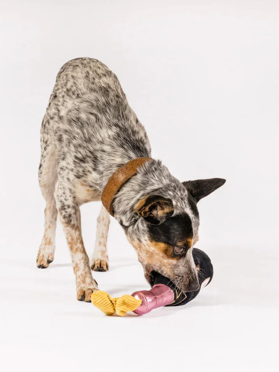 Pet-play-jouet-peluche-chien-bouteille-champagne-celebrate-3_2048x2048.webp