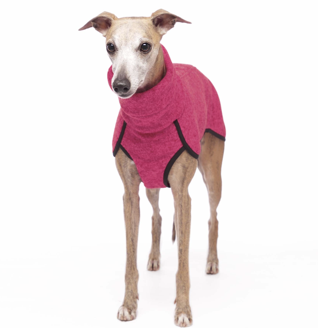 Screenshot 2026-03-09 at 14.41.15.png