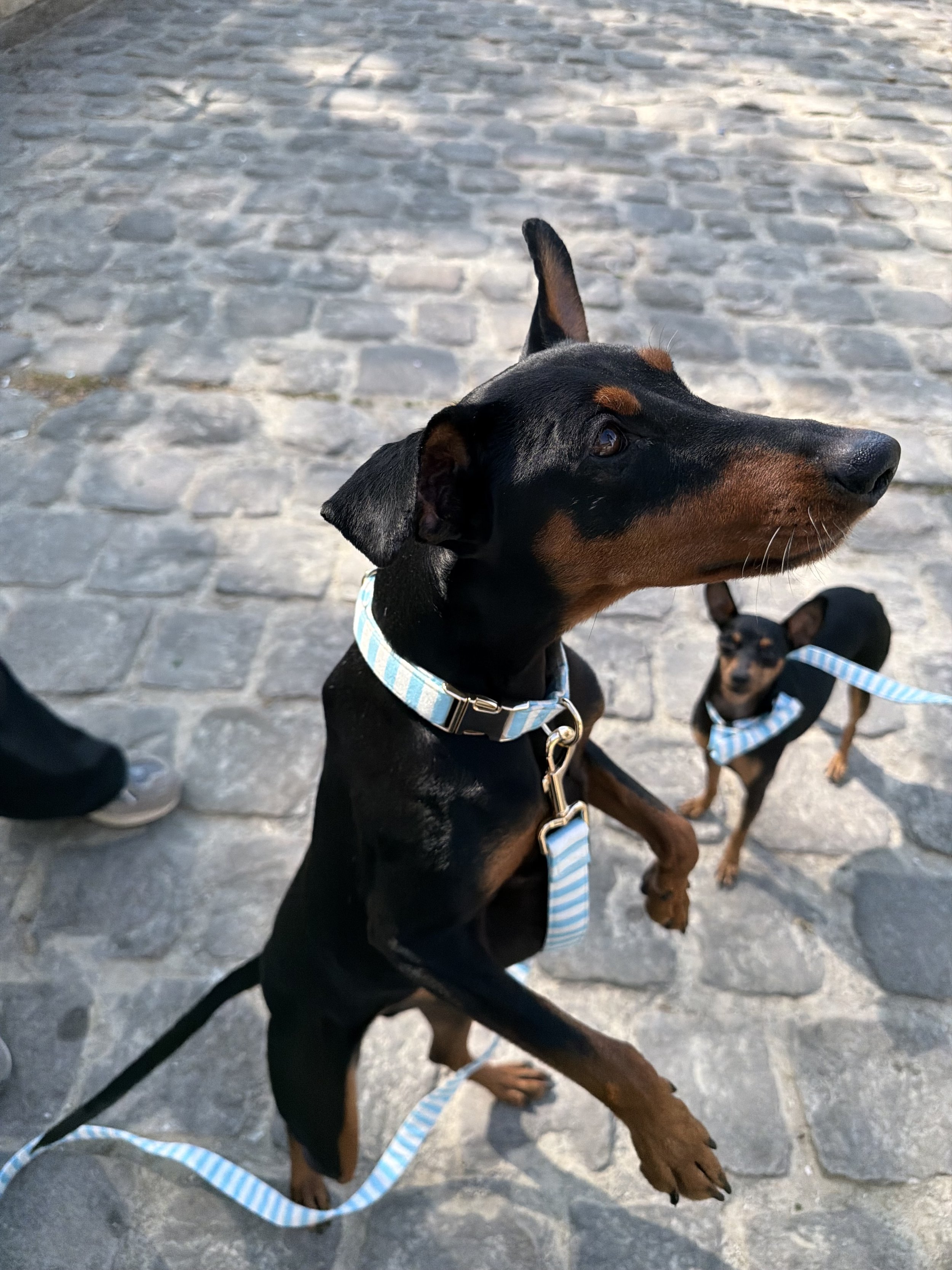 image00012.jpeg
