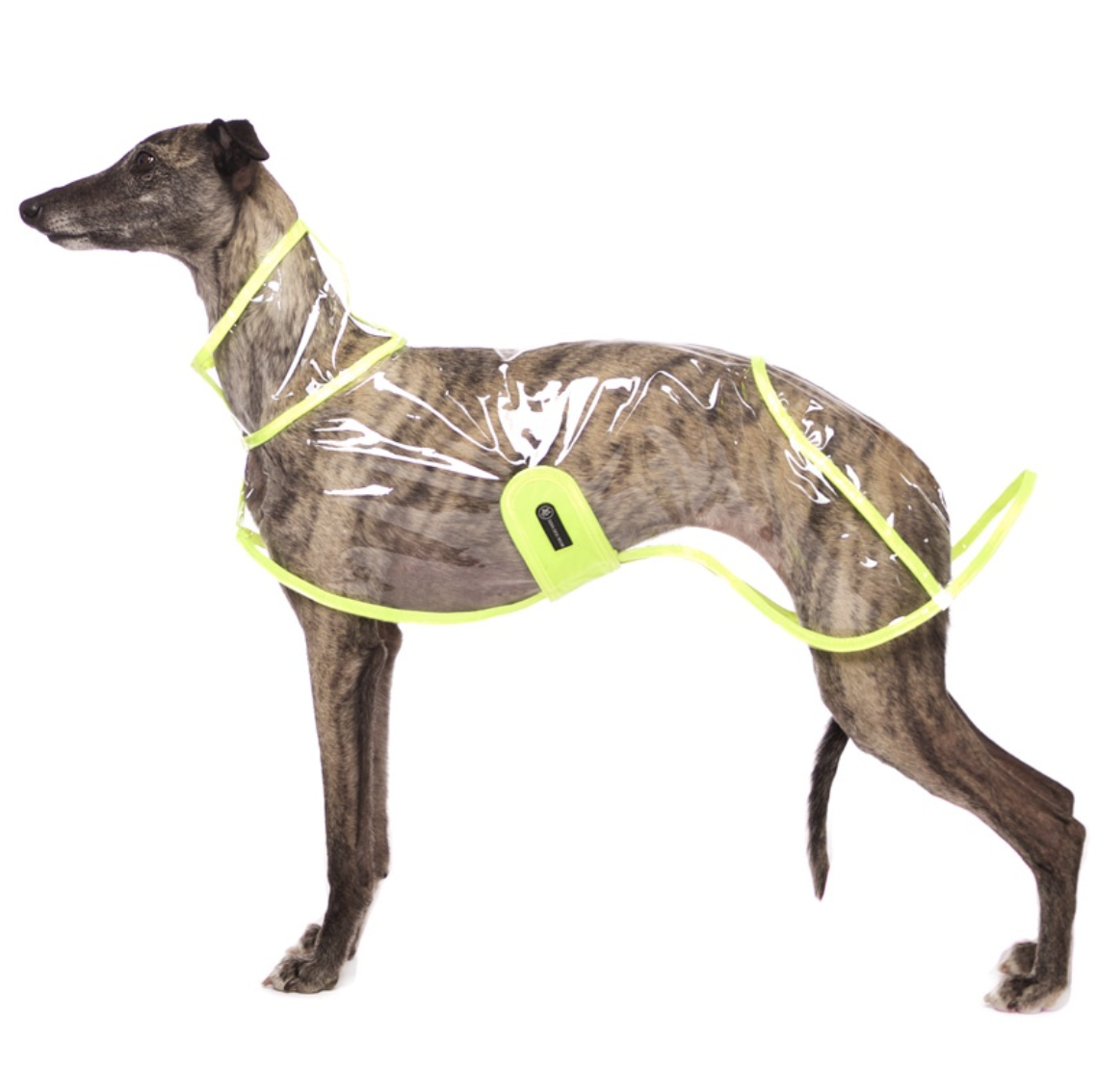 Screenshot 2026-03-09 at 14.05.57.png