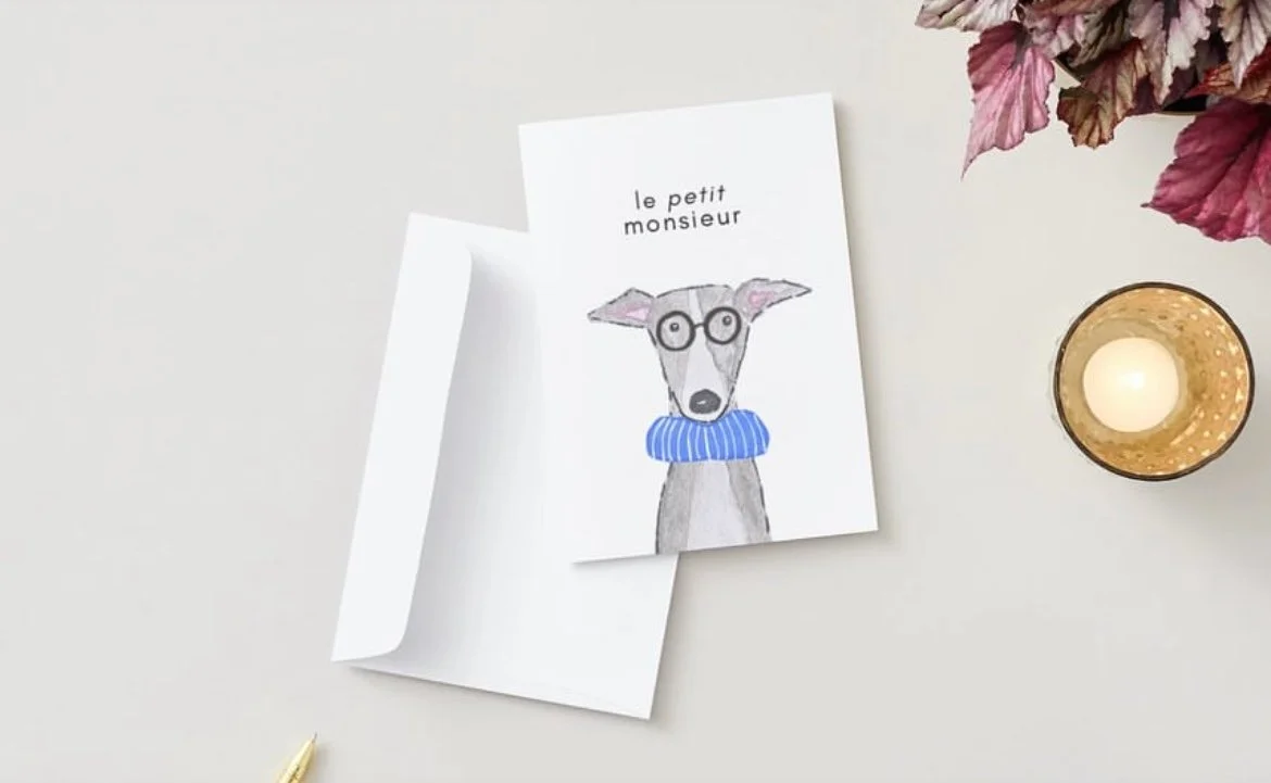 le petit monsieur Italian Greyhound