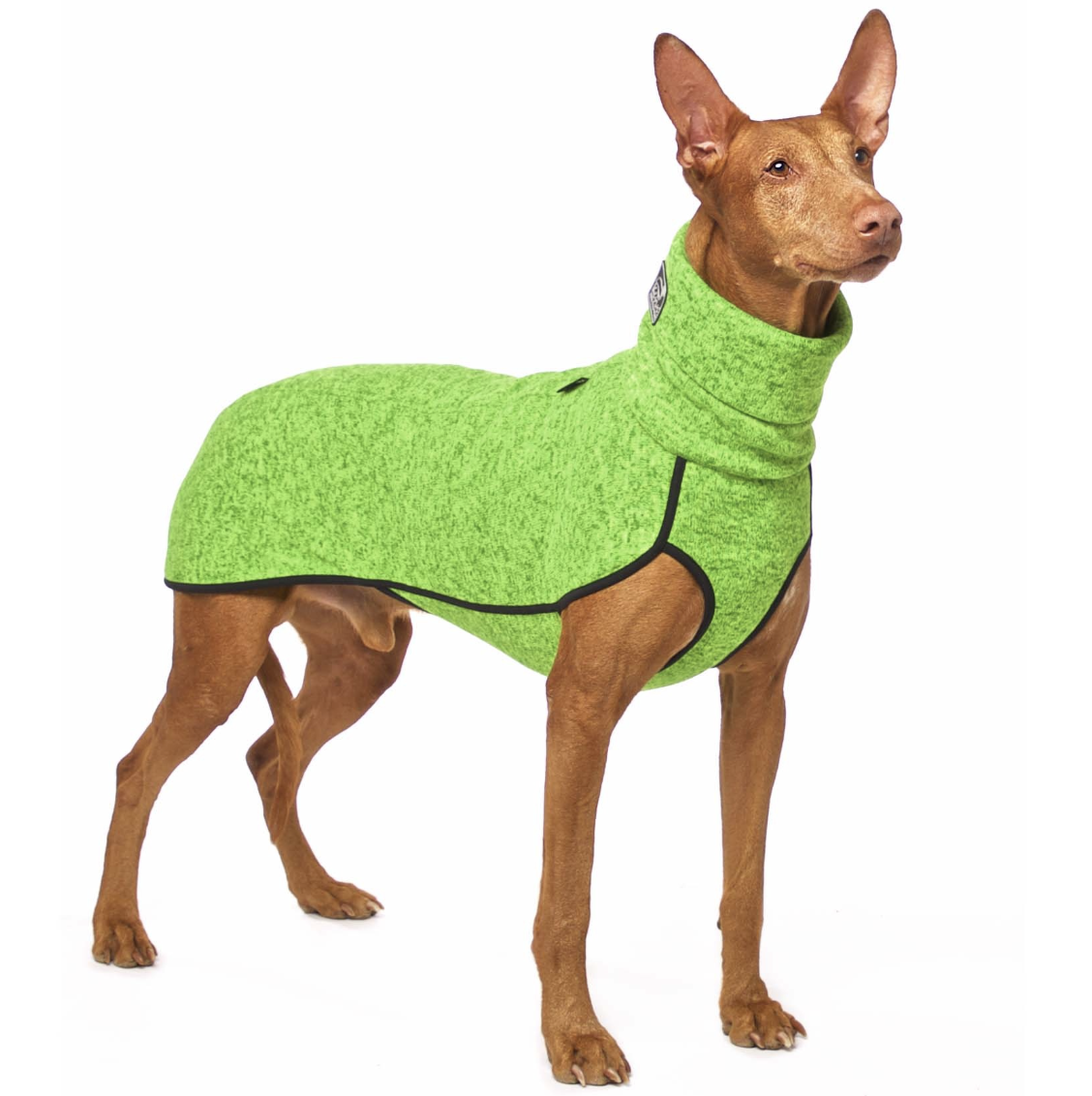 Screenshot 2026-03-09 at 14.31.43.png