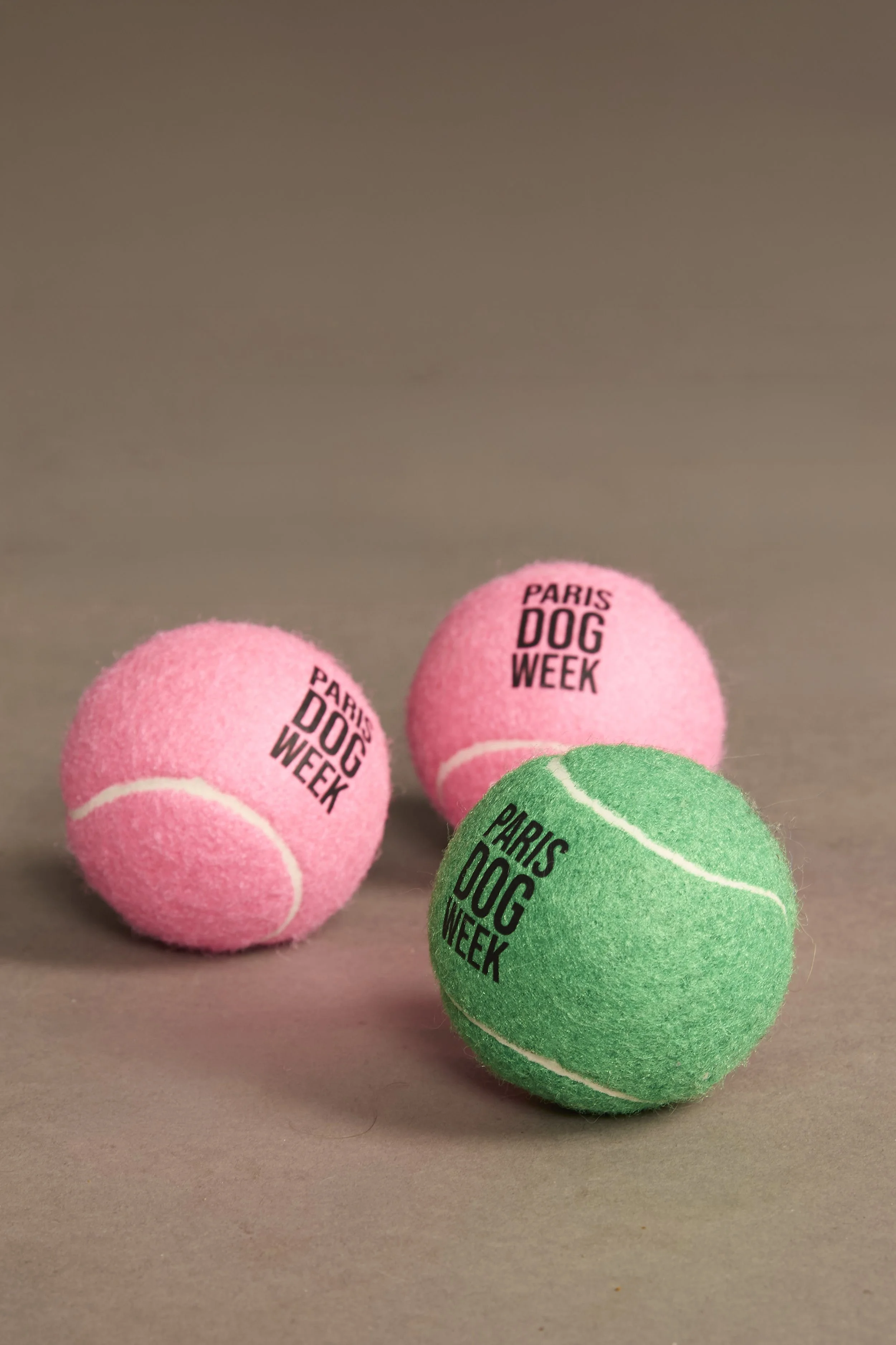 DogWeek- 1.jpg