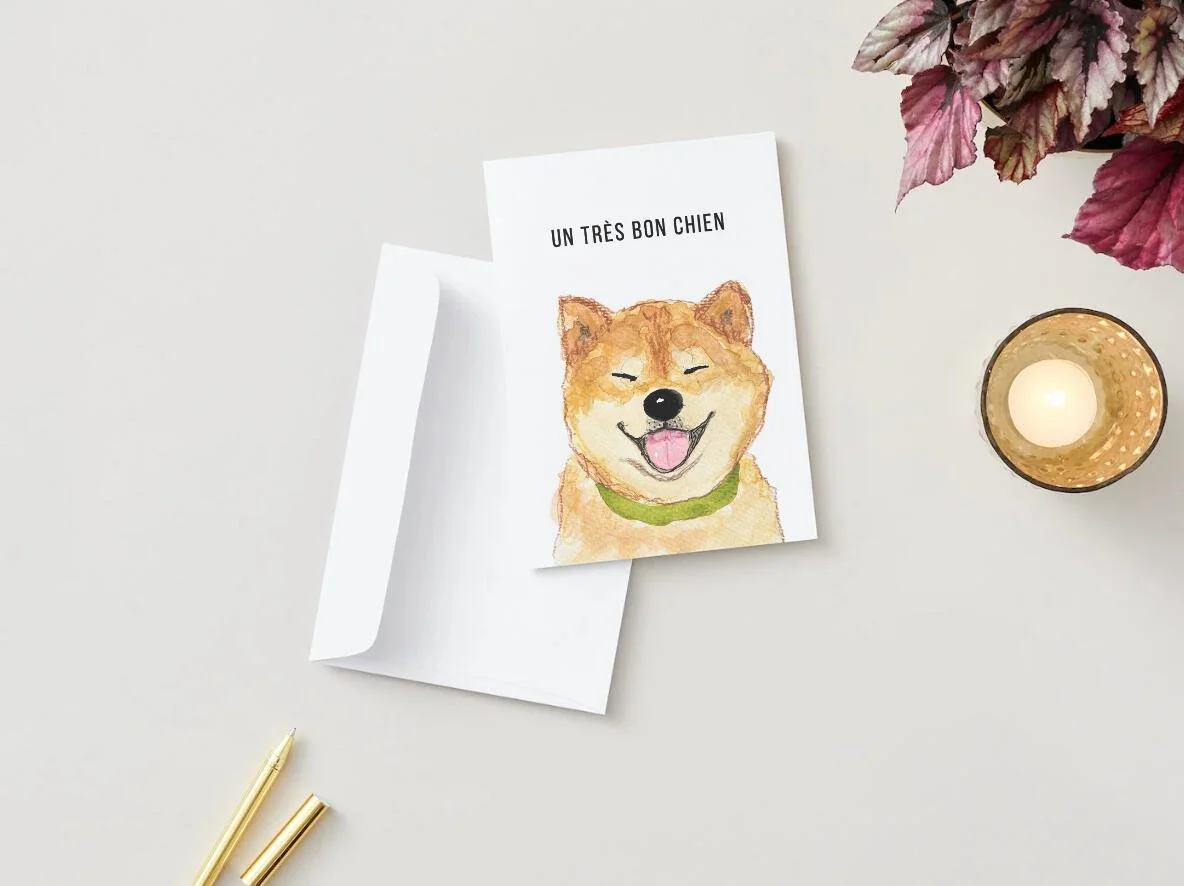 UN TRES BON CHIEN Shiba Inu