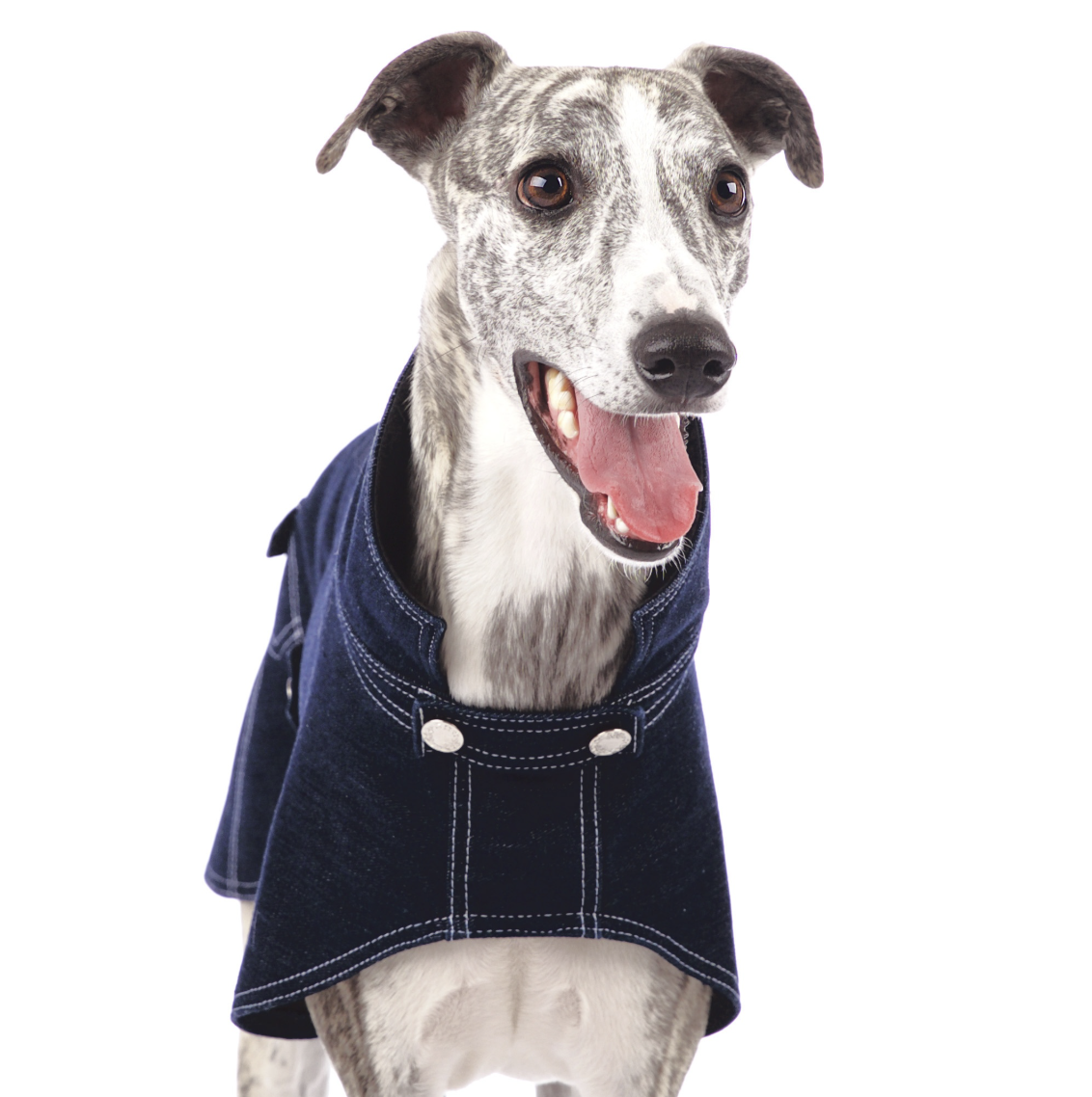 Screenshot 2026-03-06 at 15.15.53.png