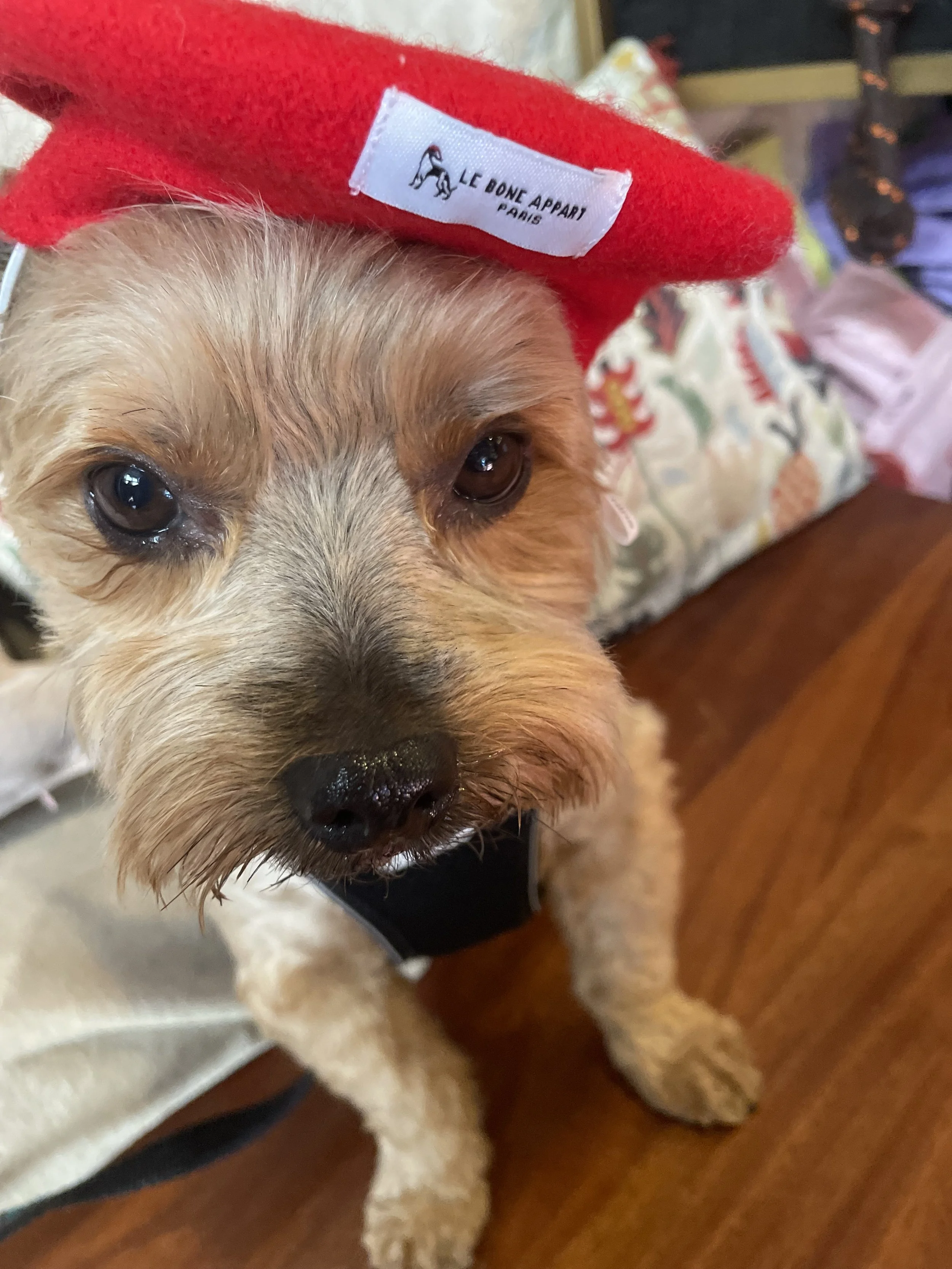 IMG_1513.jpeg