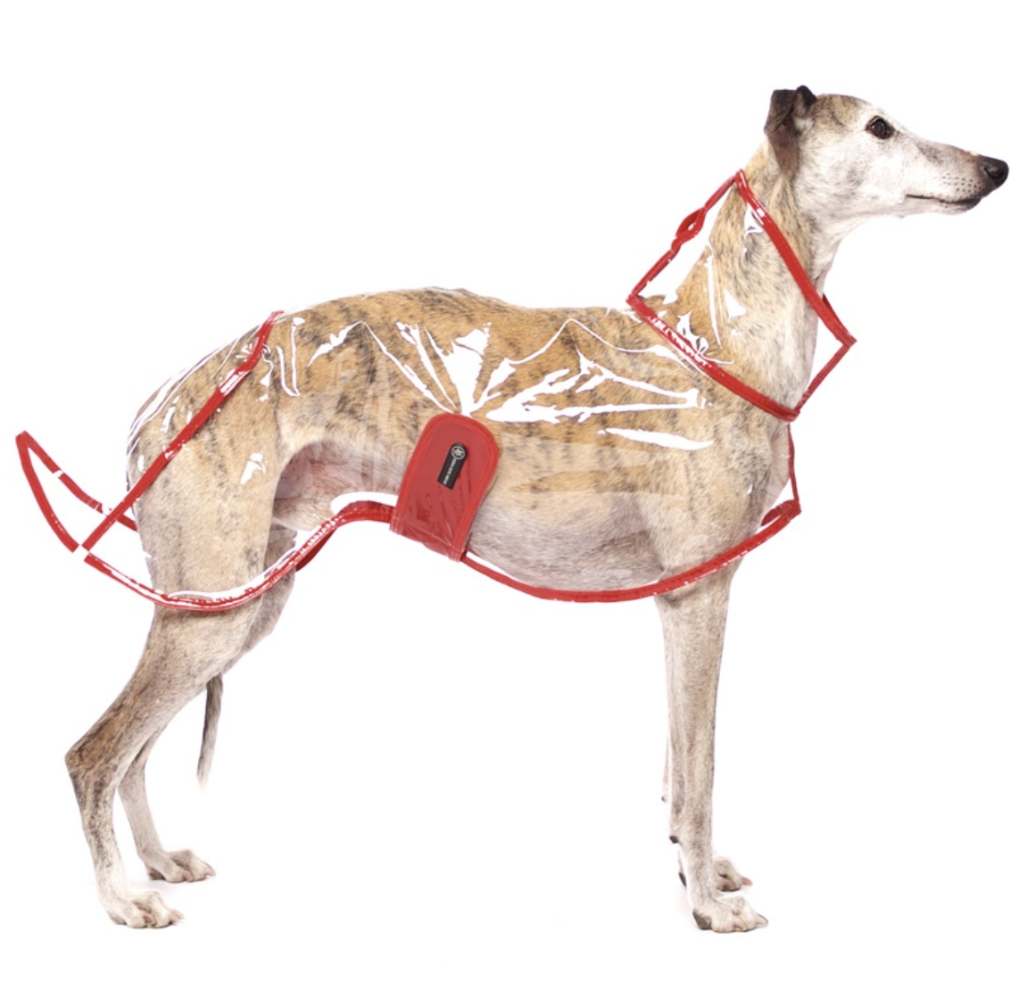 Screenshot 2026-03-09 at 14.06.44.png