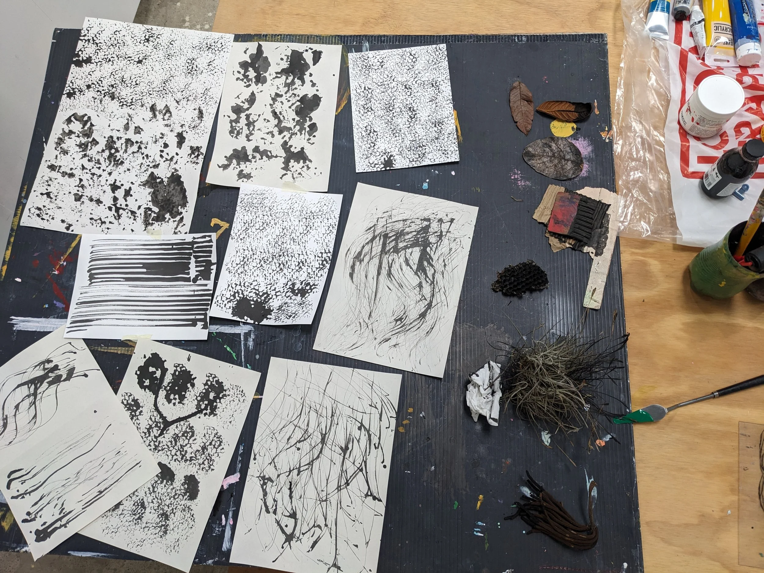 a collection of ink mark makings from found materials, such as plants, bee hives and leaves