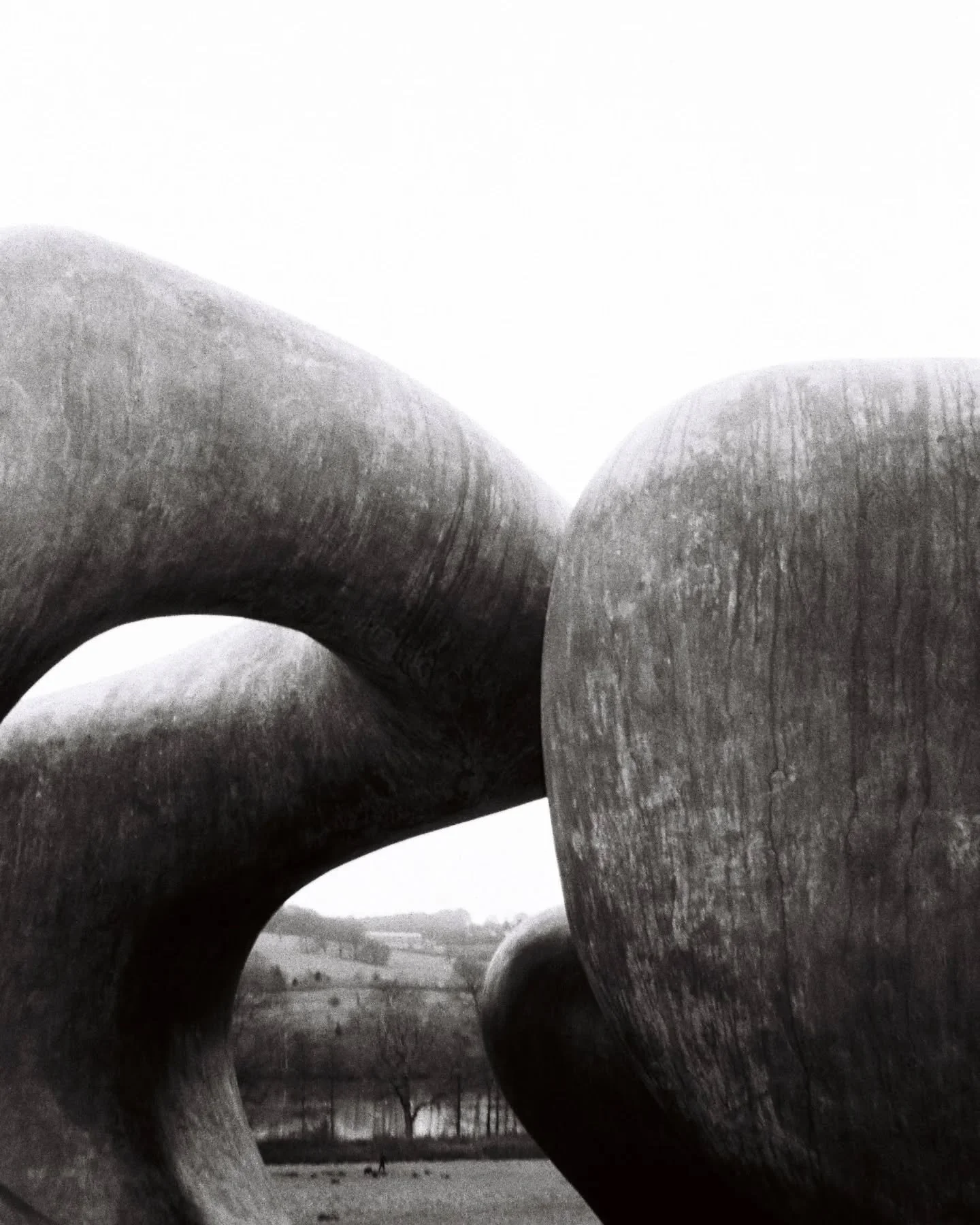 Yorkshire Sculpture Park, UK | January 2025
Lomography Earl Grey 100
Developed by @filmprocessing.co.uk

As ever, I am fashionably late with dev and sharing of my film photos. I really love these shots especially the reflection of the bicycle sculptu