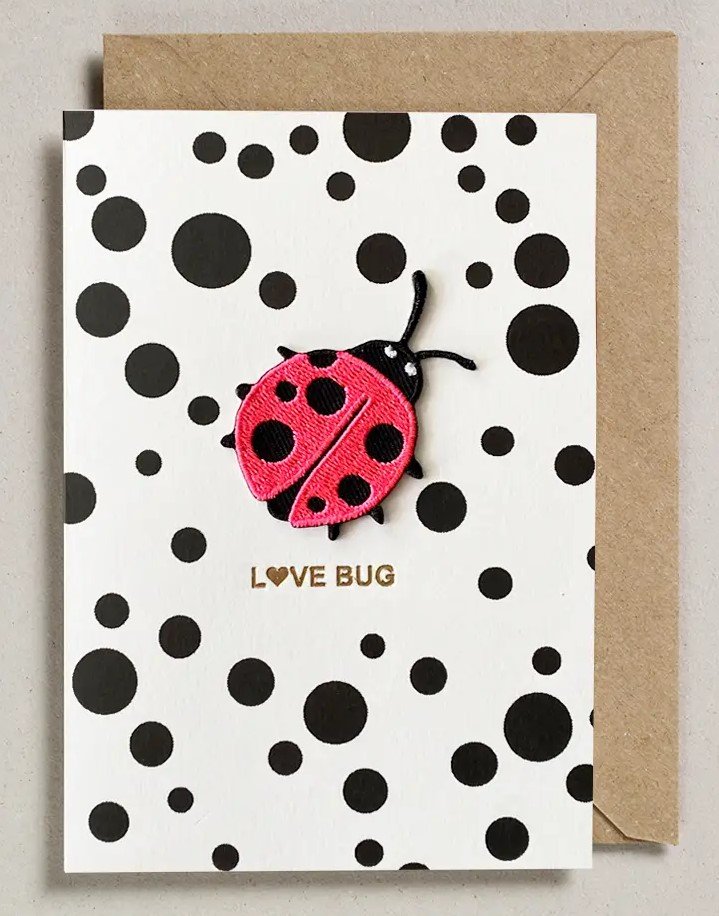 love ladybug card.jpg