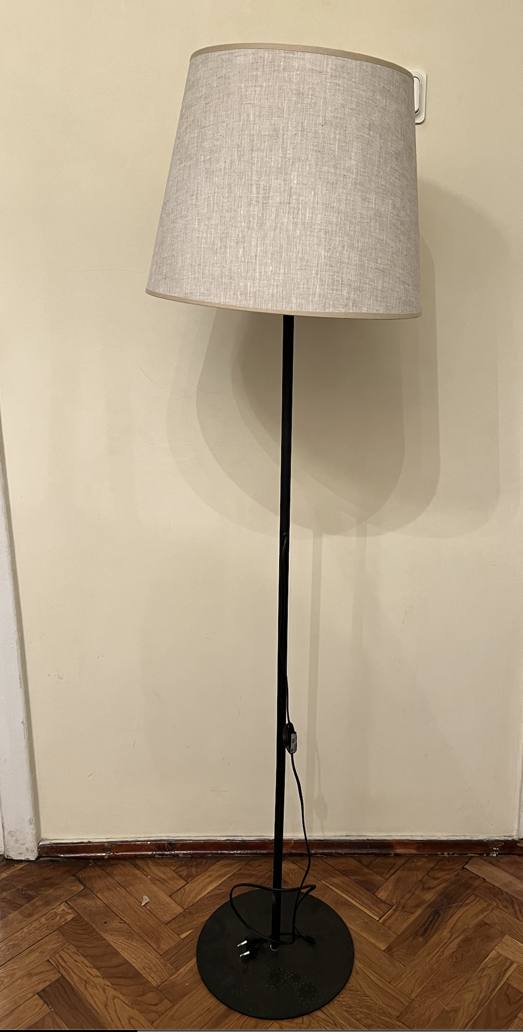 Modern Floor Lamp