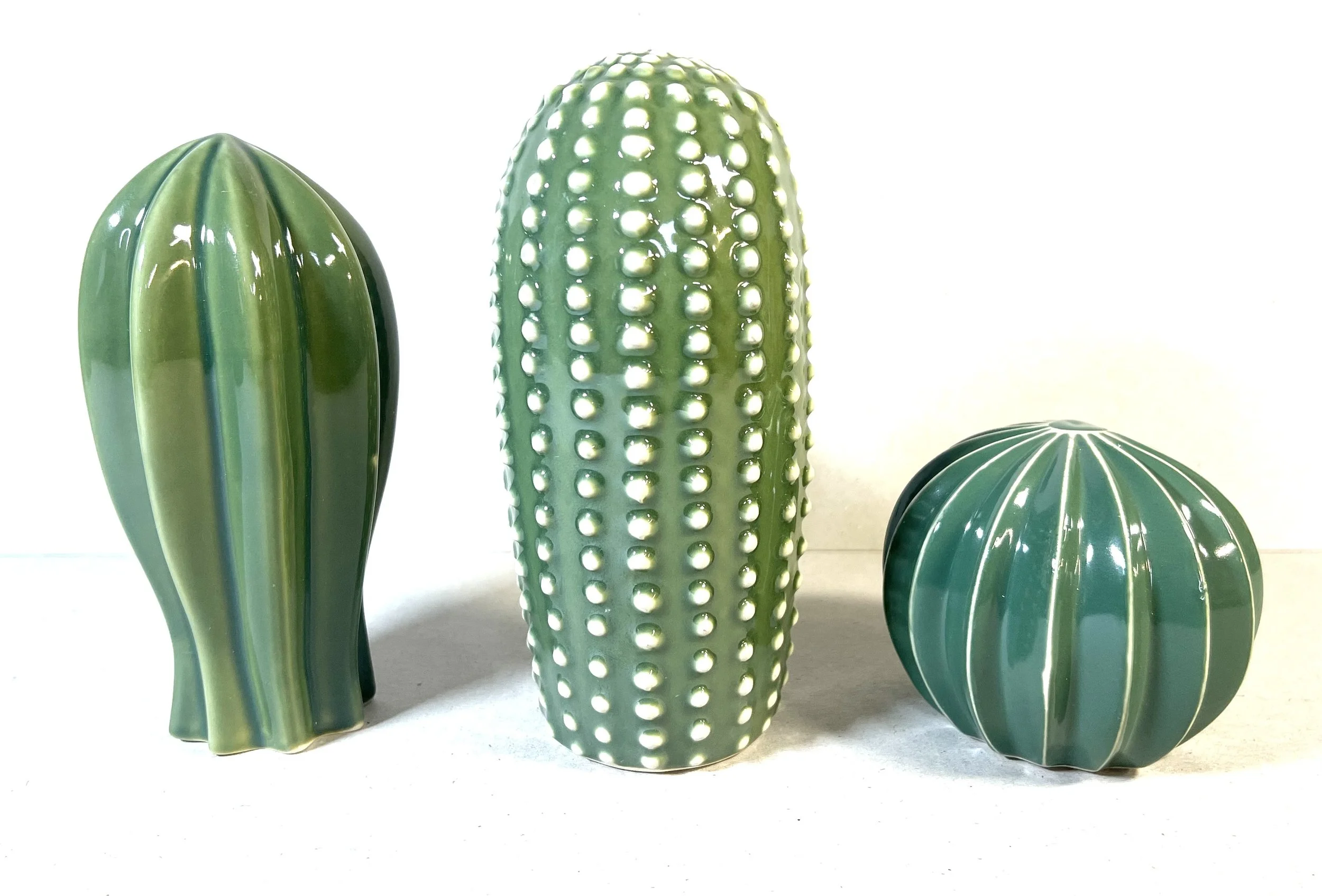Ceramic Cactus Set