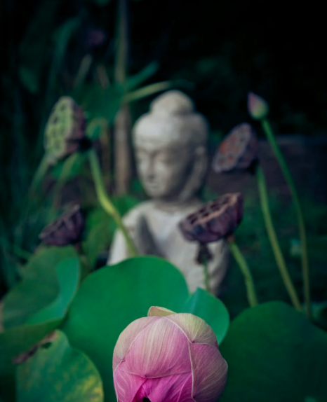 Vrtti Sarupyam: How Yoga Helps Us Detach From Fluctuating Thoughts