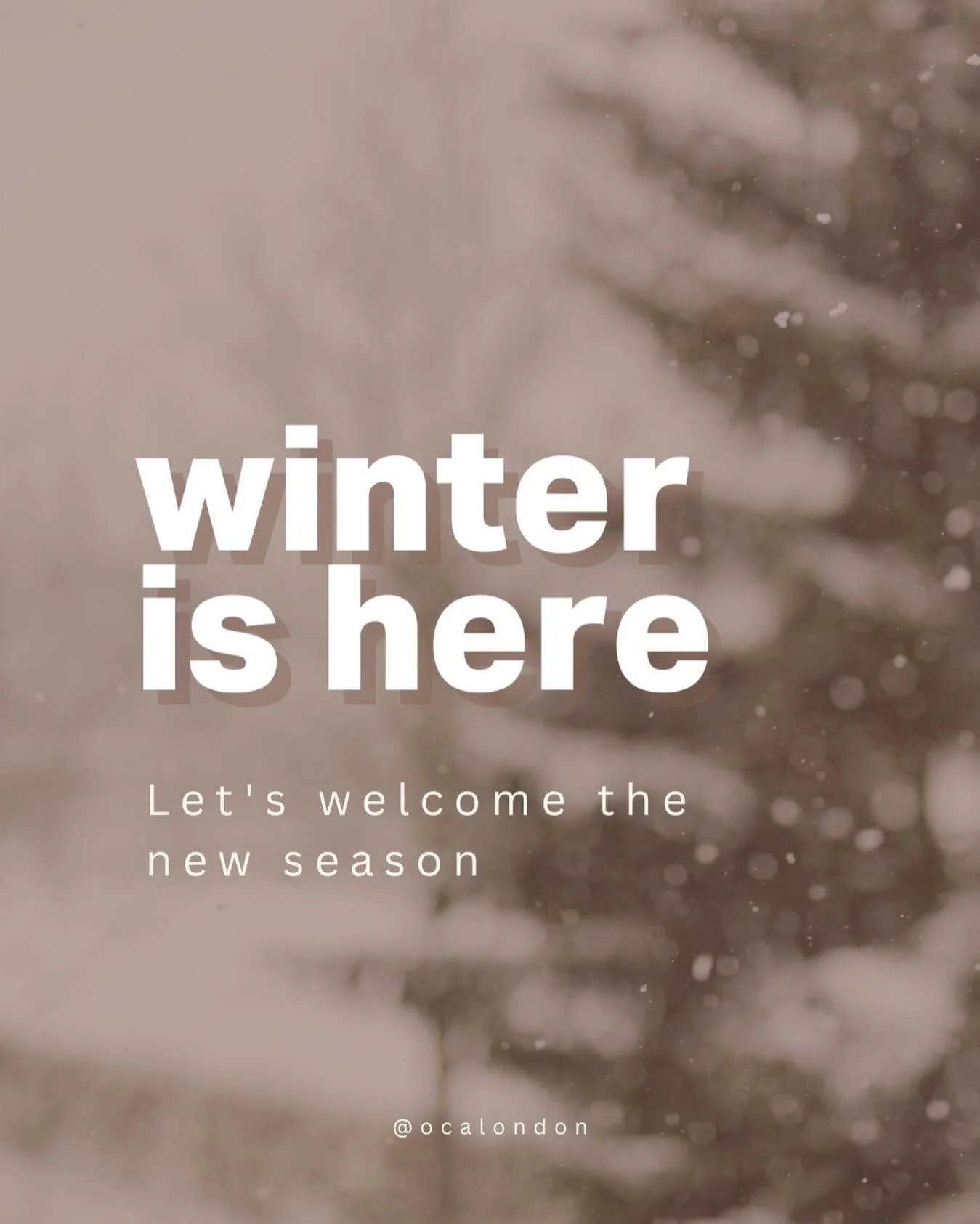 A soulful Winter Solstice read.

Winter Solstice, the longest night of the year, is a sacred pause&mdash;a time to slow down, 
rest, reflect, and honour the return of the sun, carrying with it the promise of renewal and light.

It&rsquo;s a time to l