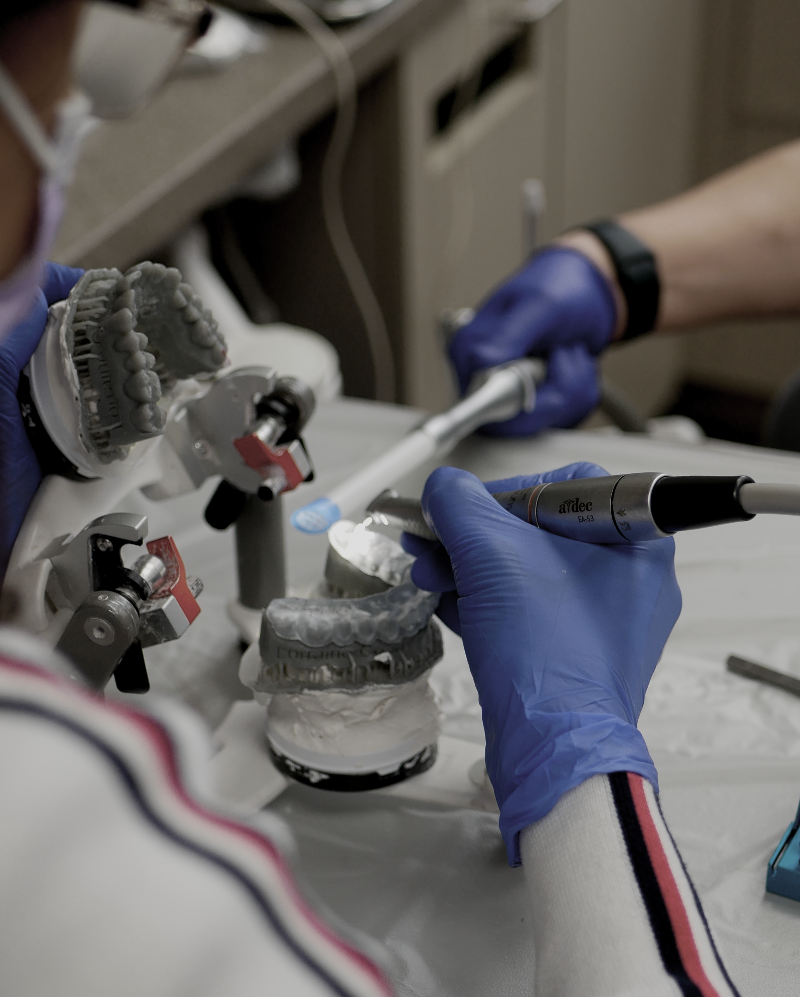 Hands-on courses for dentists - Dr. Agatha Bis