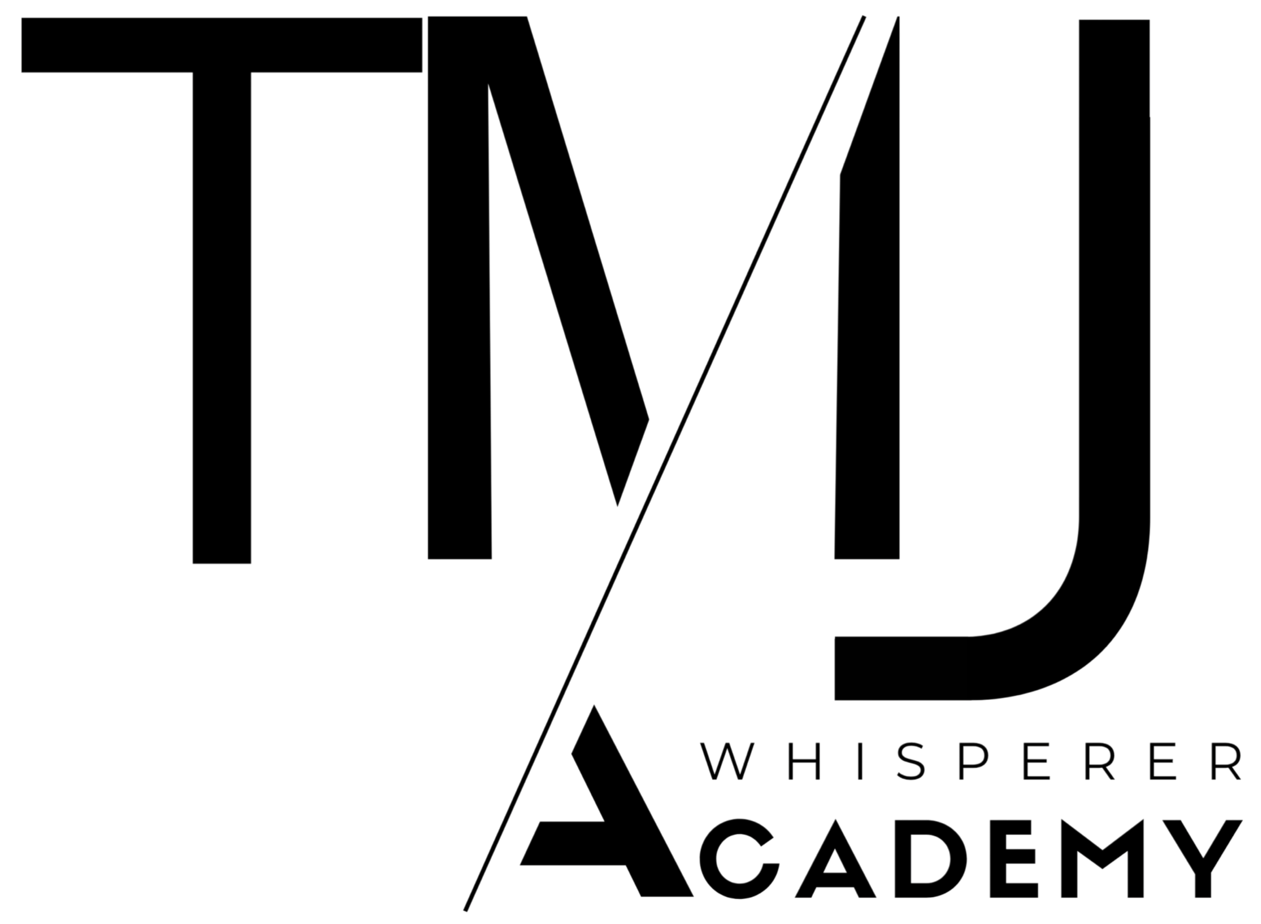 Courses for dentists - Dental CE courses - Dental Academy - TMJ courses