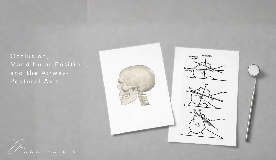 Occlusion, Mandibular Position, and the Airway-Postural Axis