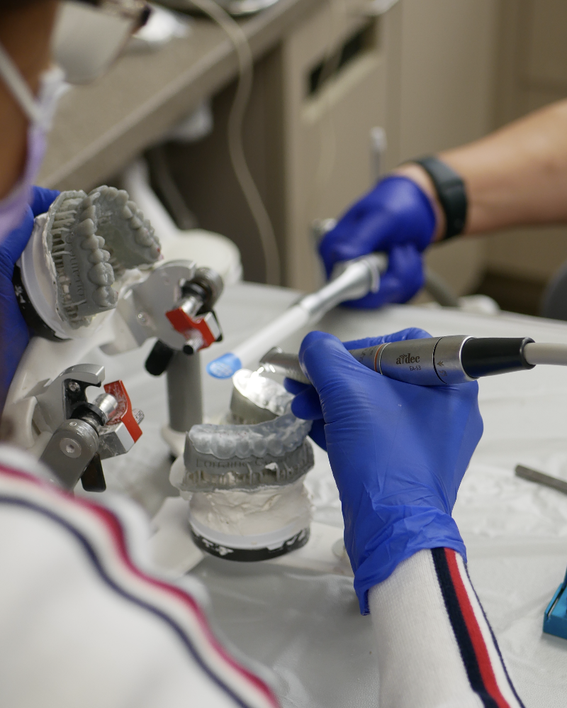 Hands-on courses for dentists - Dr. Agatha Bis