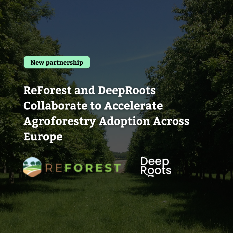 Science Meets Business: ReForest and DeepRoots Collaborate to Accelerate Agroforestry Adoption Across Europe