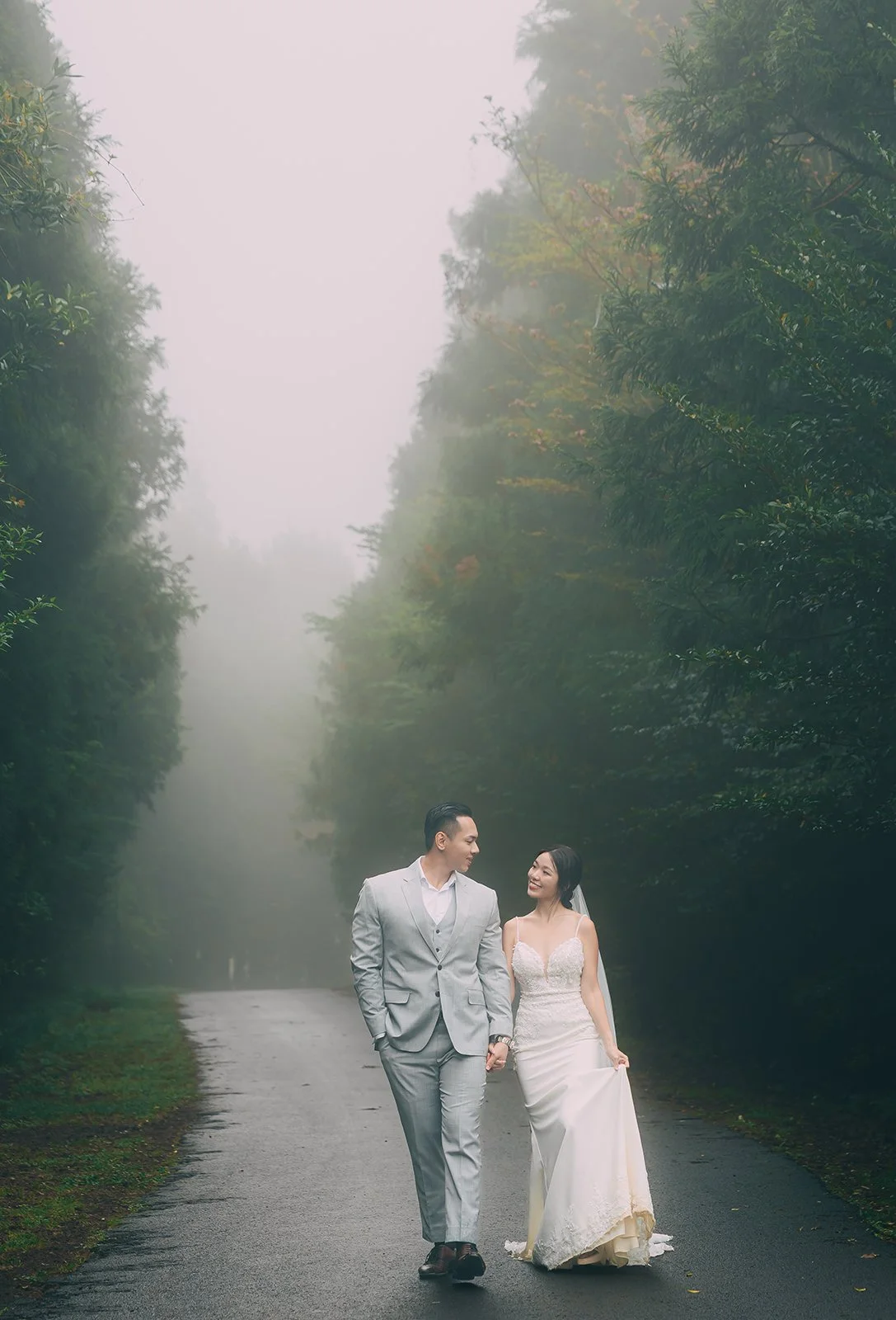 Wide perspective of a foggy tree-lined alley near the entrance of Blaize Resort Jeju Island with tall trees forming a natural archway