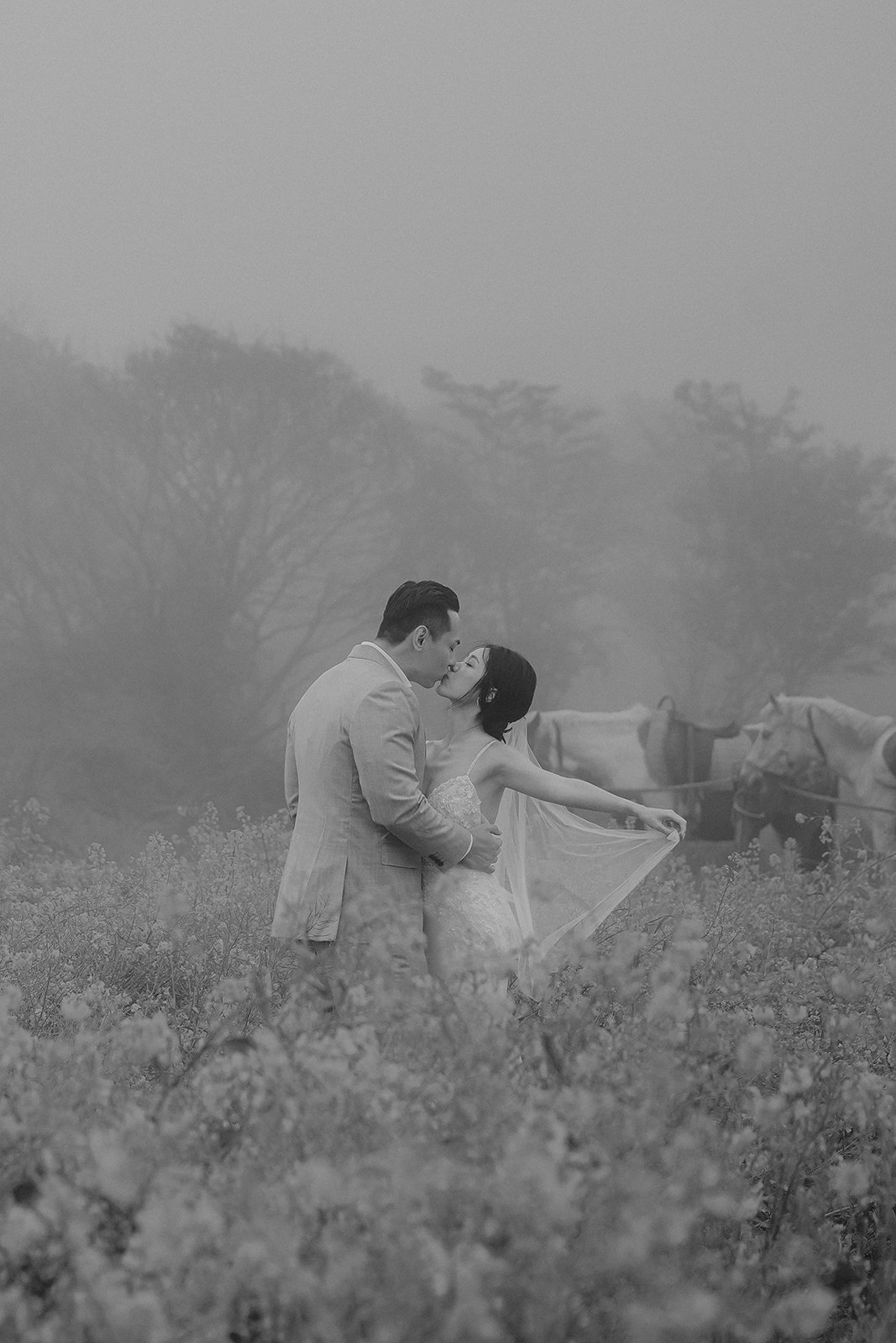 Sweeping view of yellow canola flowers in full spring bloom under a misty grey sky near Jorangmal Horse Park, Jeju Island Korea