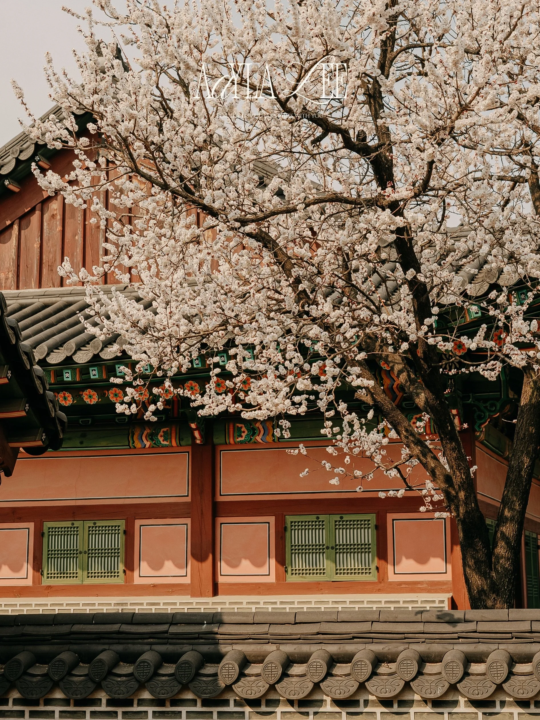 Luxury hospitality photographer in Seoul documenting cultural destinations for hotel marketing