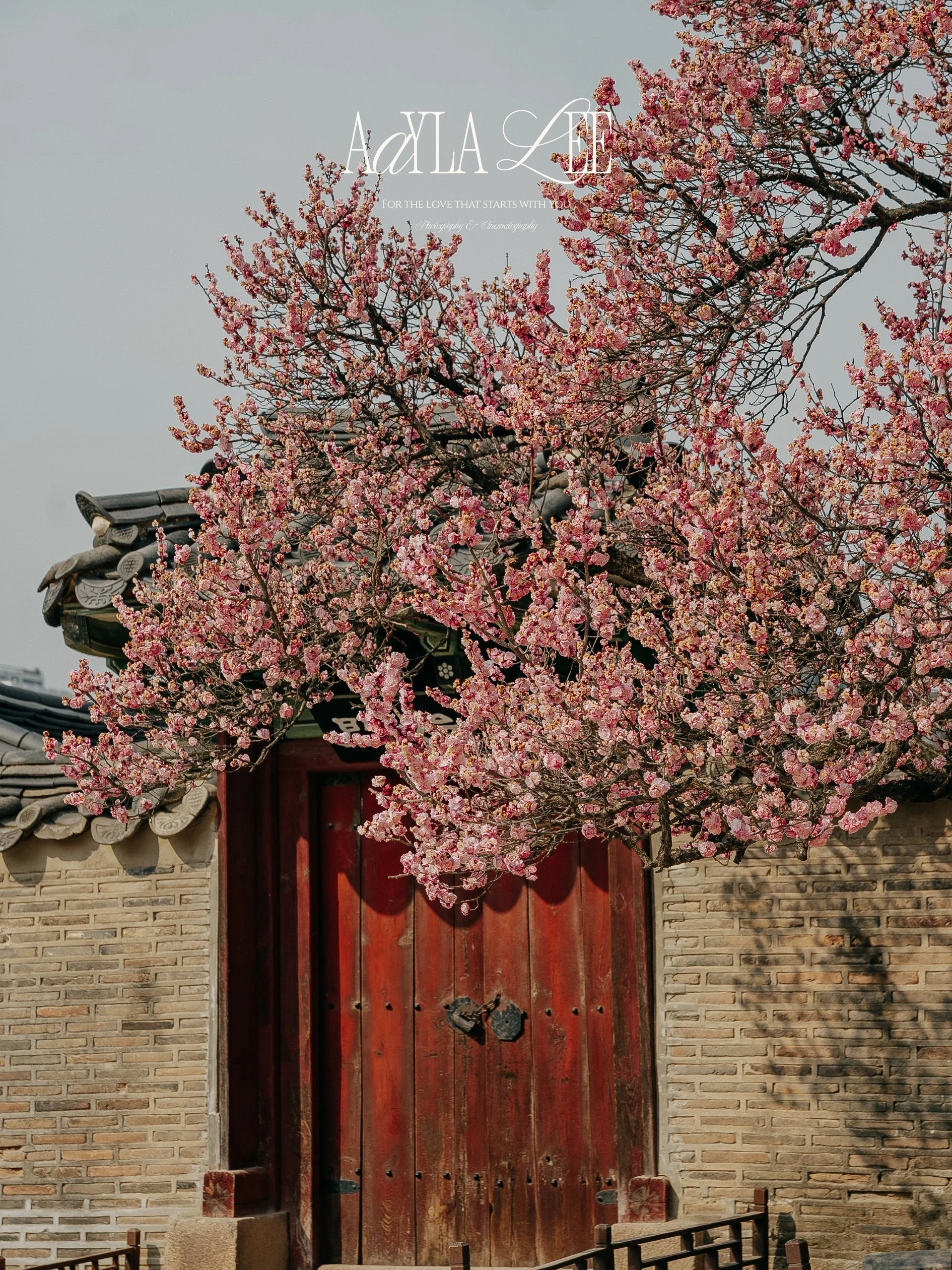 Editorial travel and hospitality photographer Seoul creating imagery for luxury hotel brands